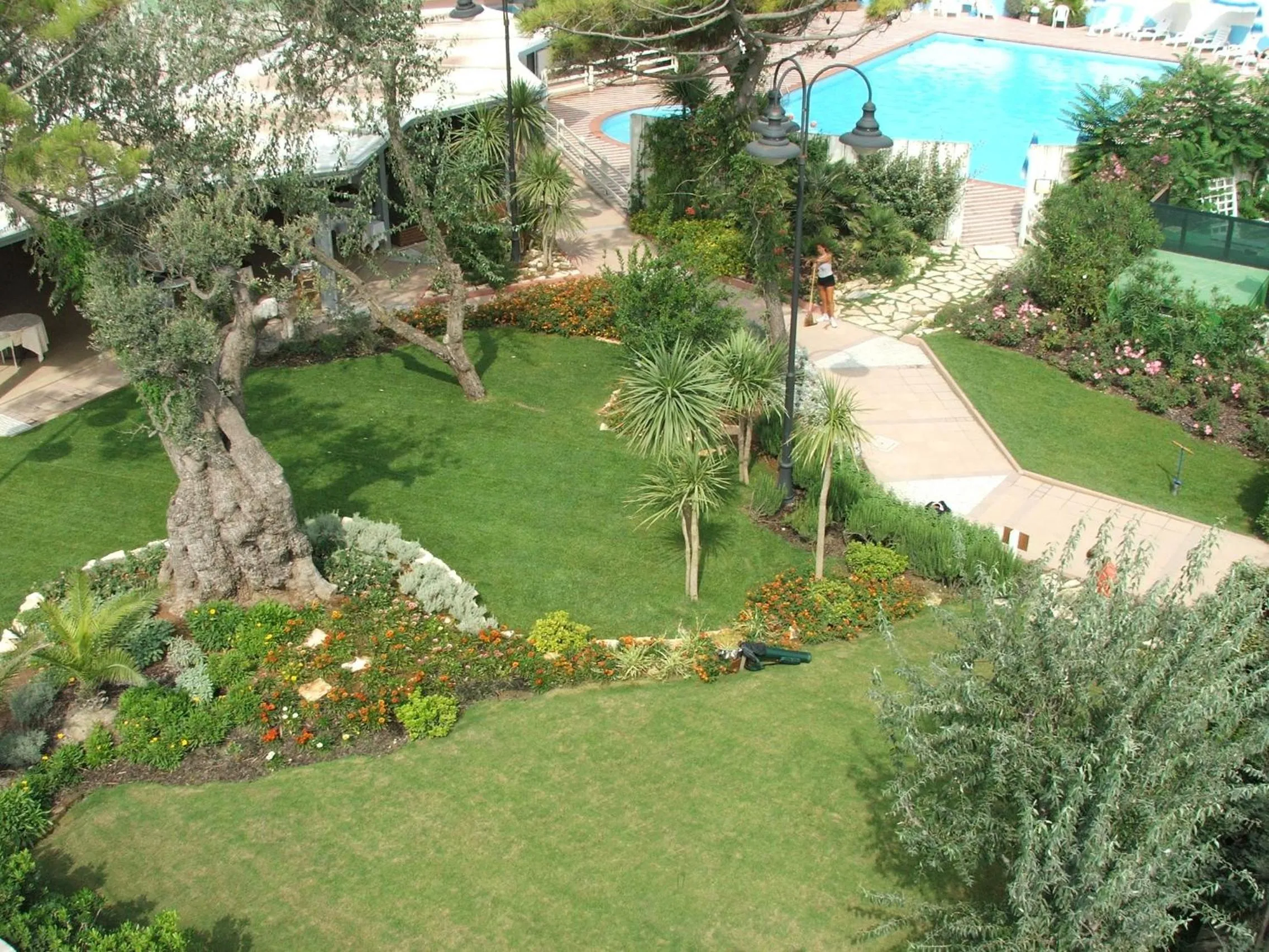 Garden in Hotel Bellevue Beach - sul mare