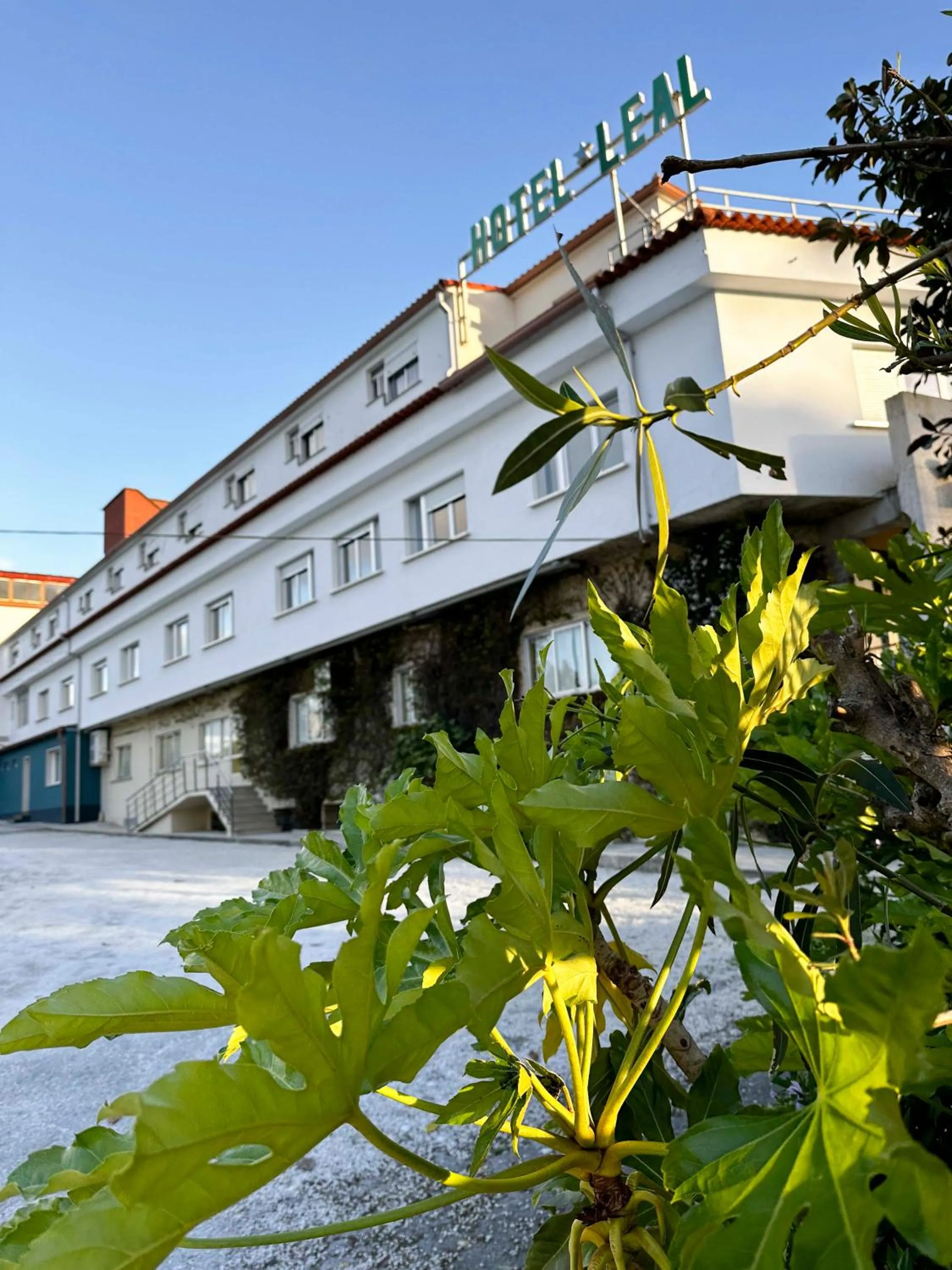 Property building in Hotel Leal - La Sirena