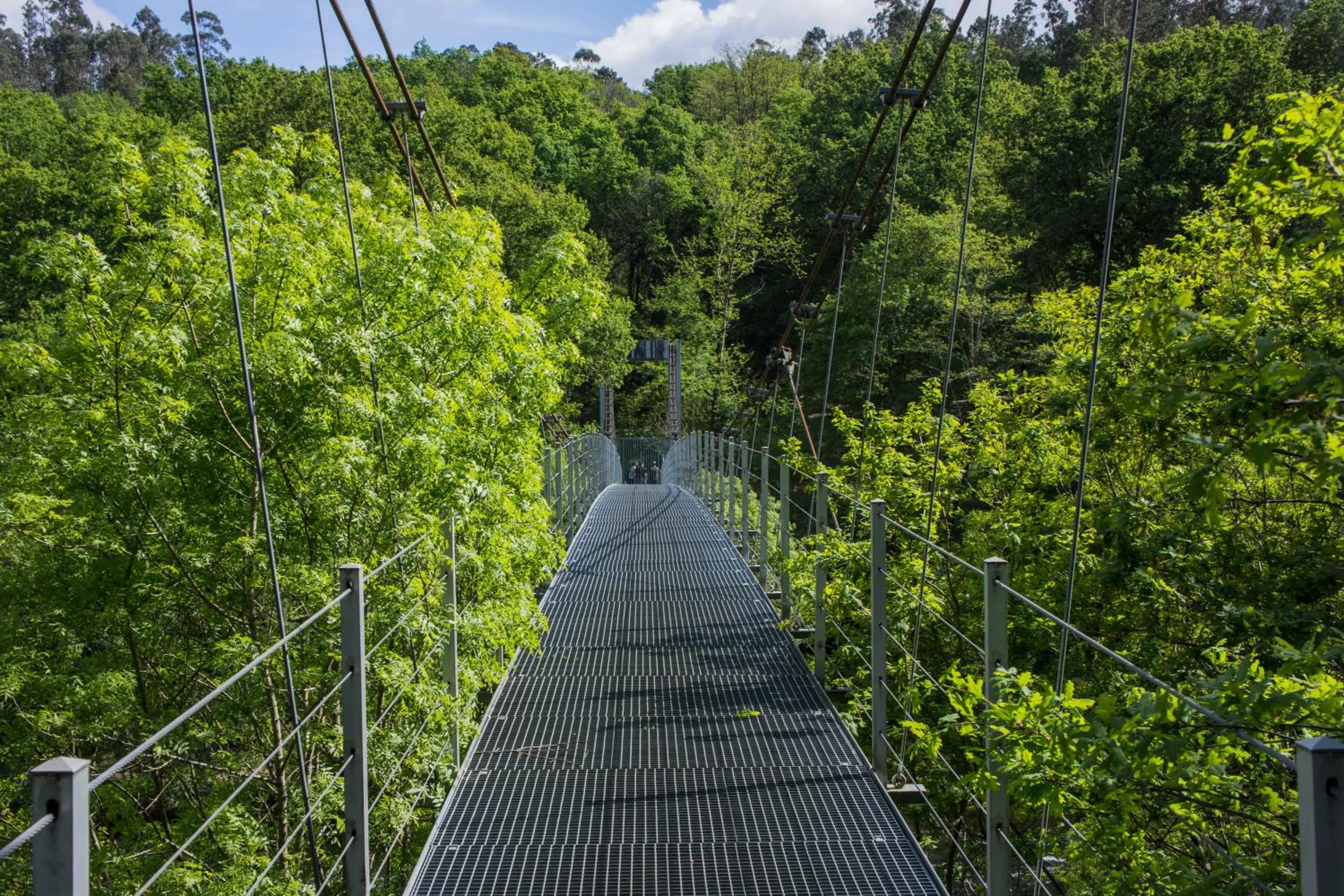 Natural landscape in Hotel Leal - La Sirena