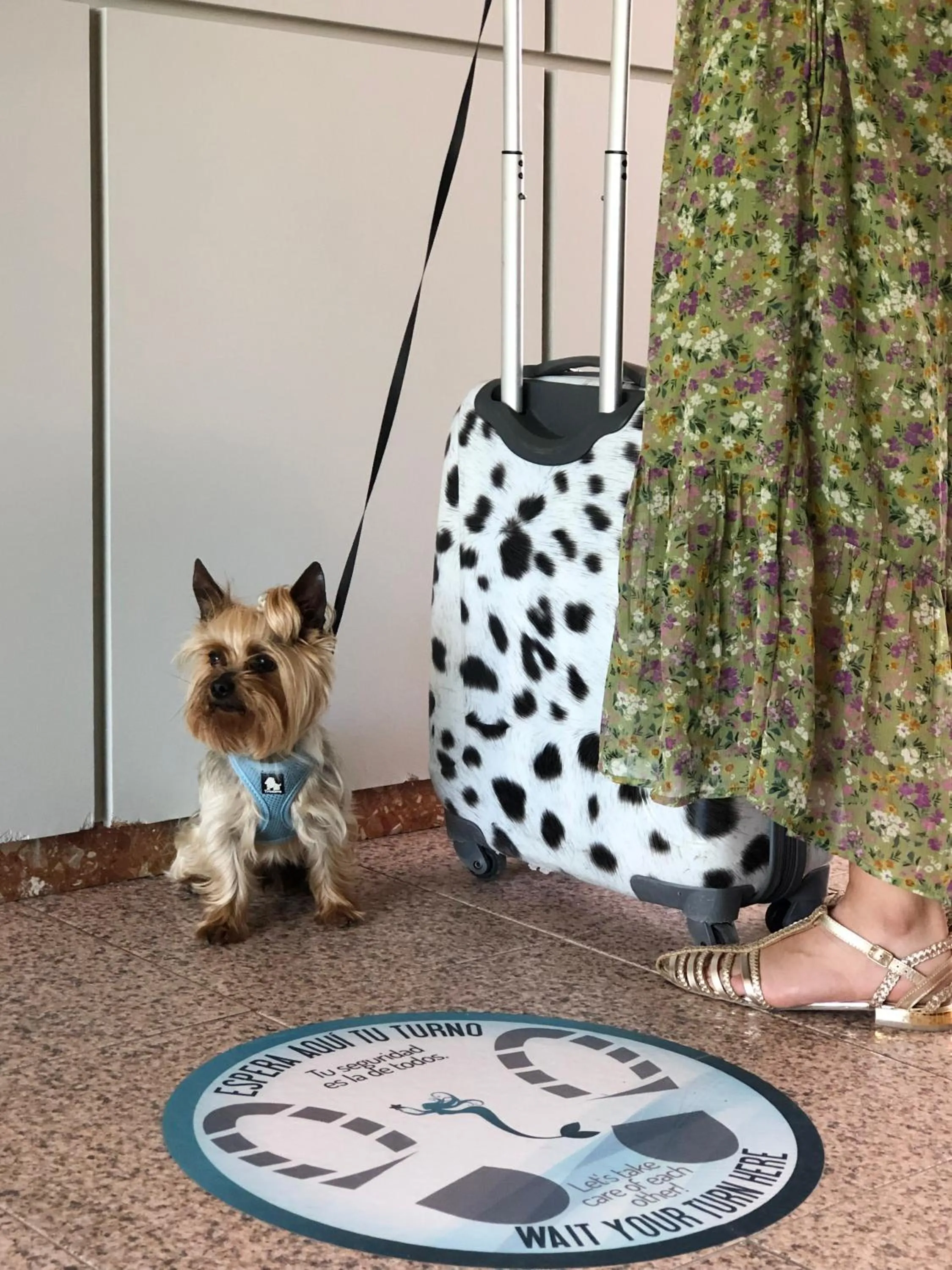 Animals in Hotel Leal - La Sirena