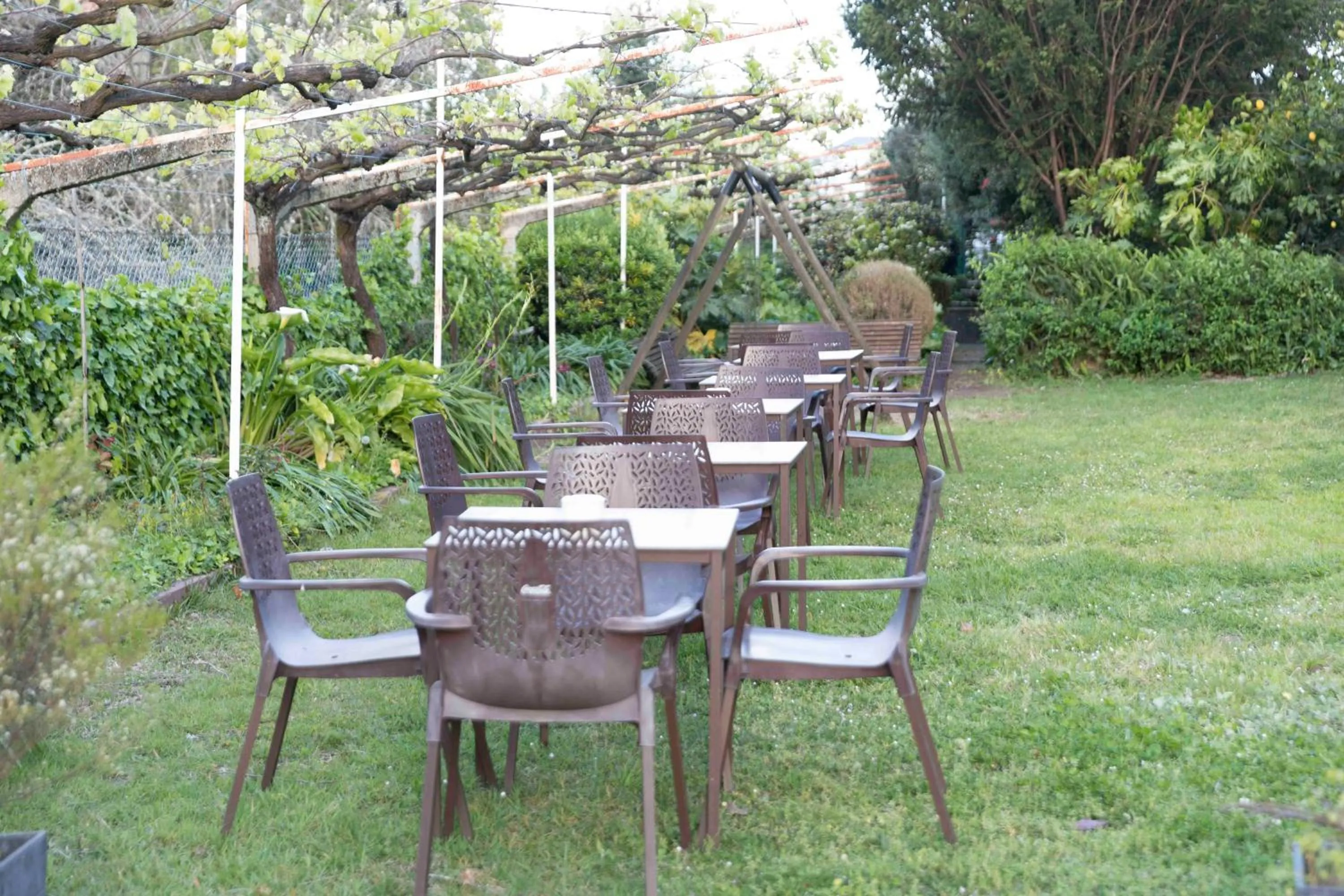 Garden in Hotel Leal - La Sirena