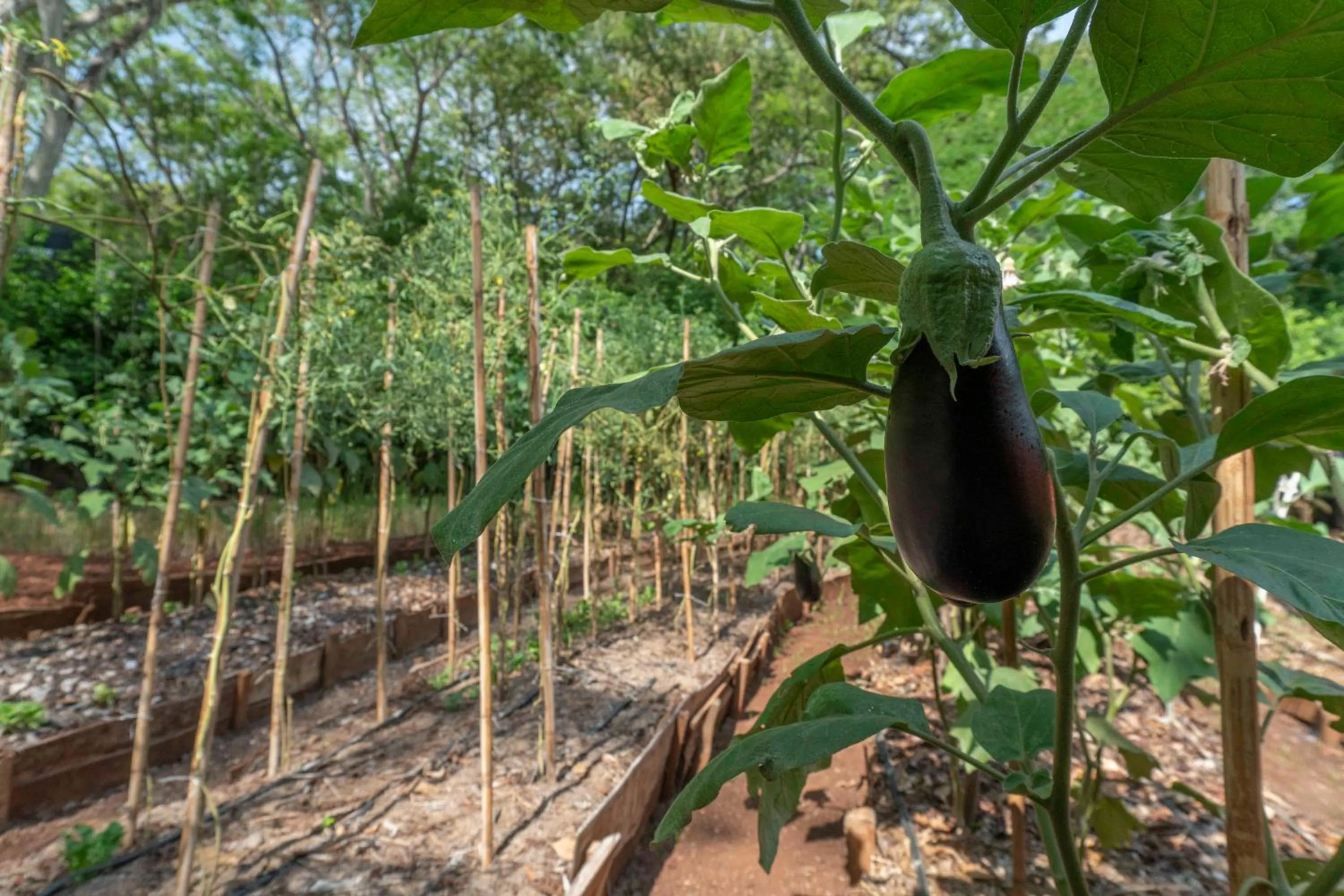 Day in Capitán Suizo Beachfront Boutique Hotel