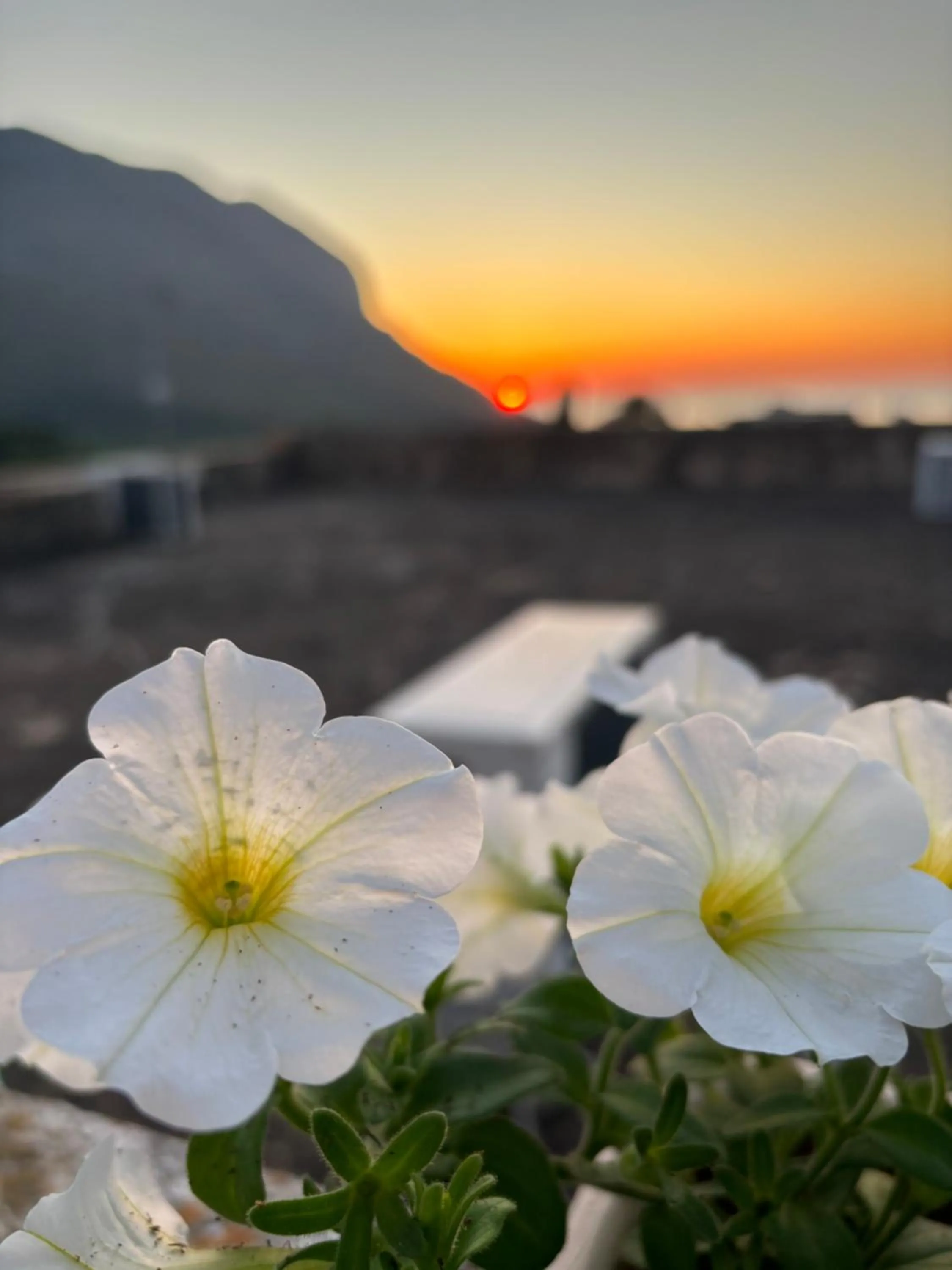 Bed And Breakfast Turi