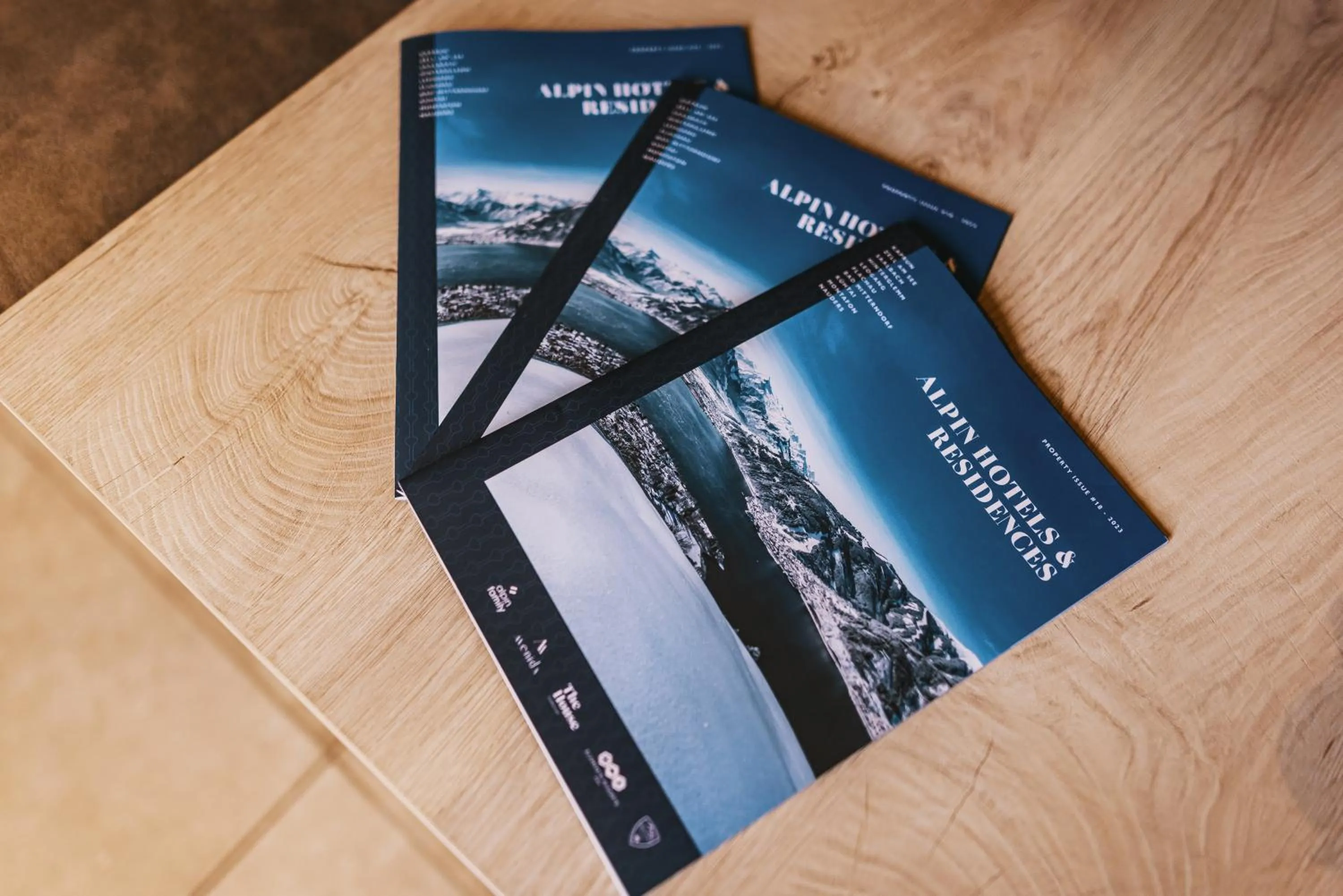 Decorative detail in Elements Resort Zell am See BW Signature Collection