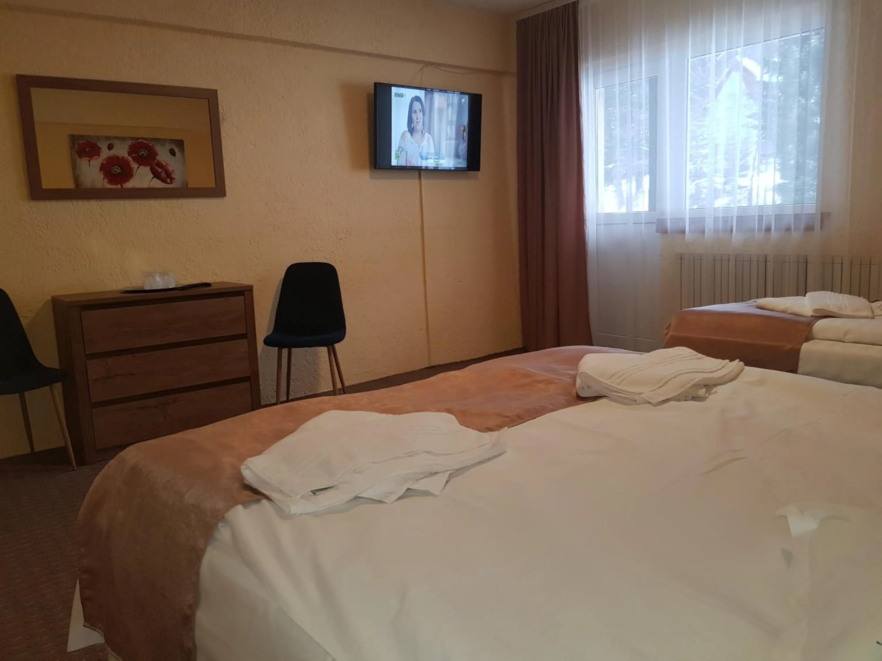 TV and multimedia, Bed in Cabana Fulg De Nea Predeal