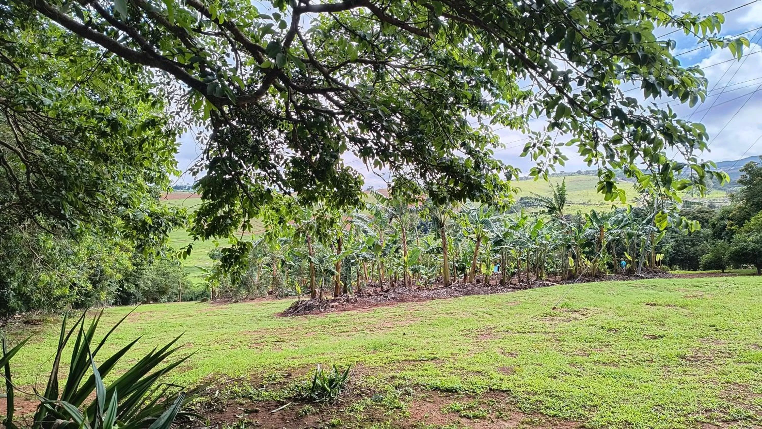 Garden in Pousada Recanto do Sossego