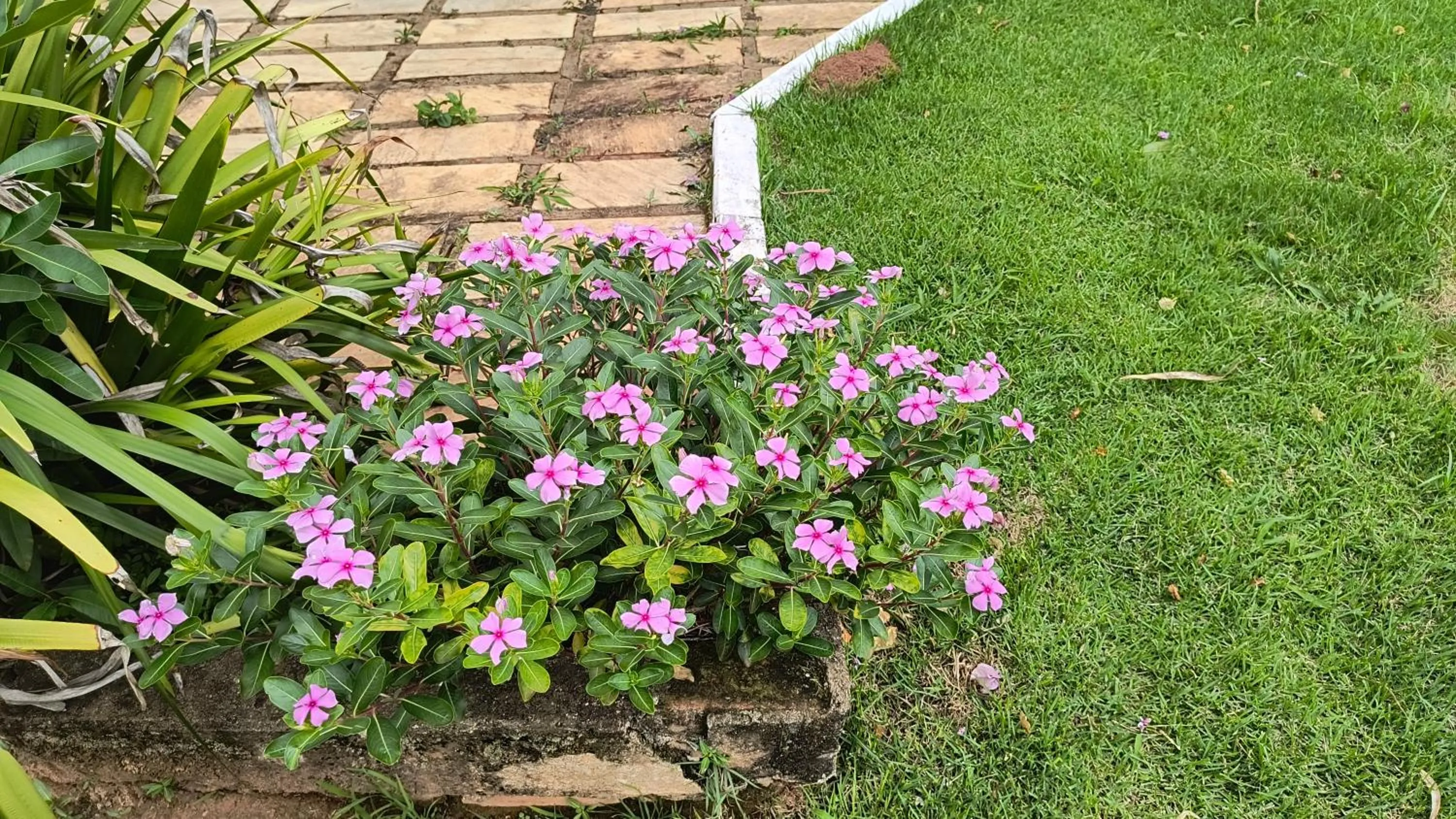 Spring in Pousada Recanto do Sossego