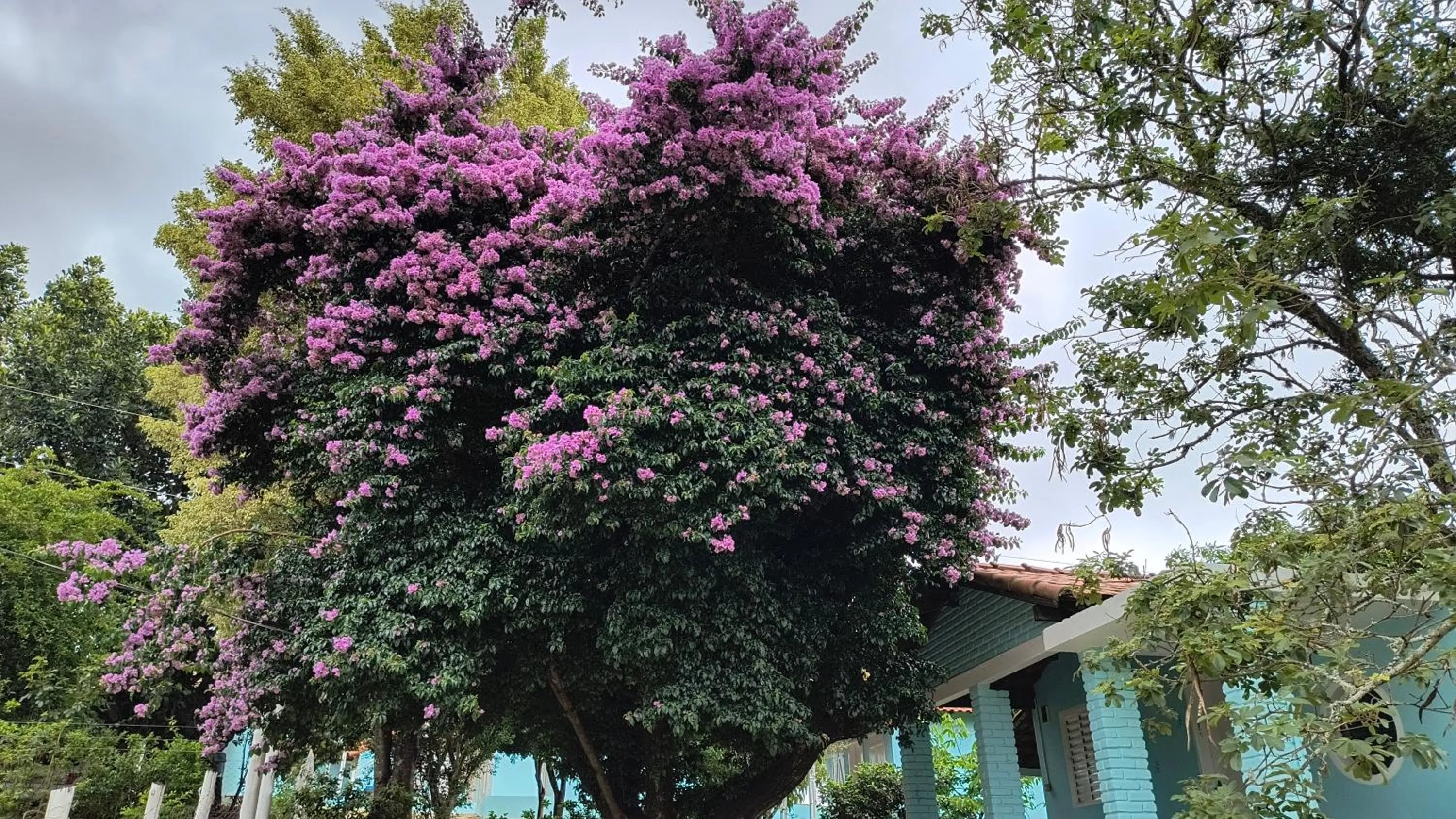 Garden in Pousada Recanto do Sossego