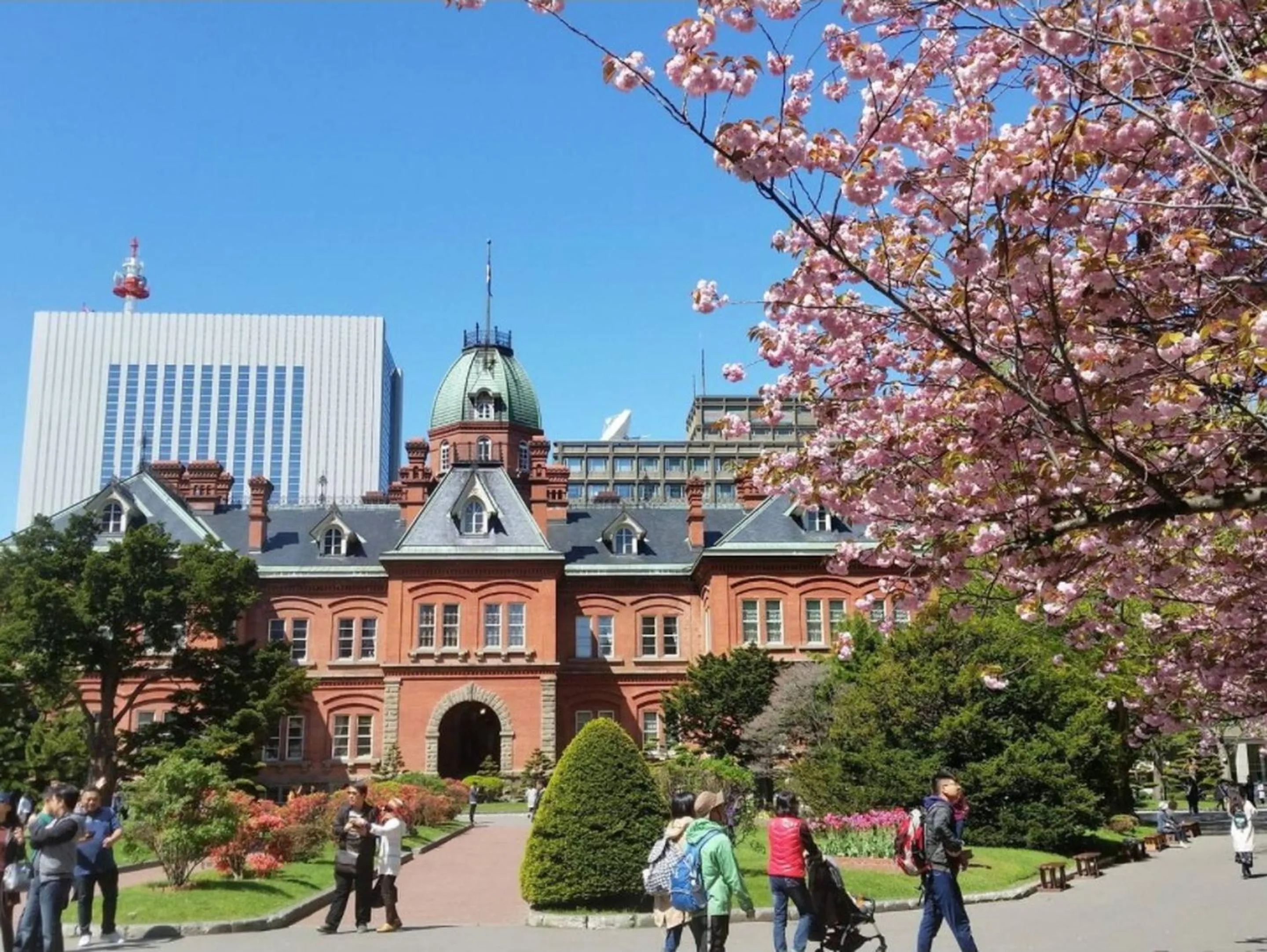 Entertainment in Cozy and Convenient Royal heights