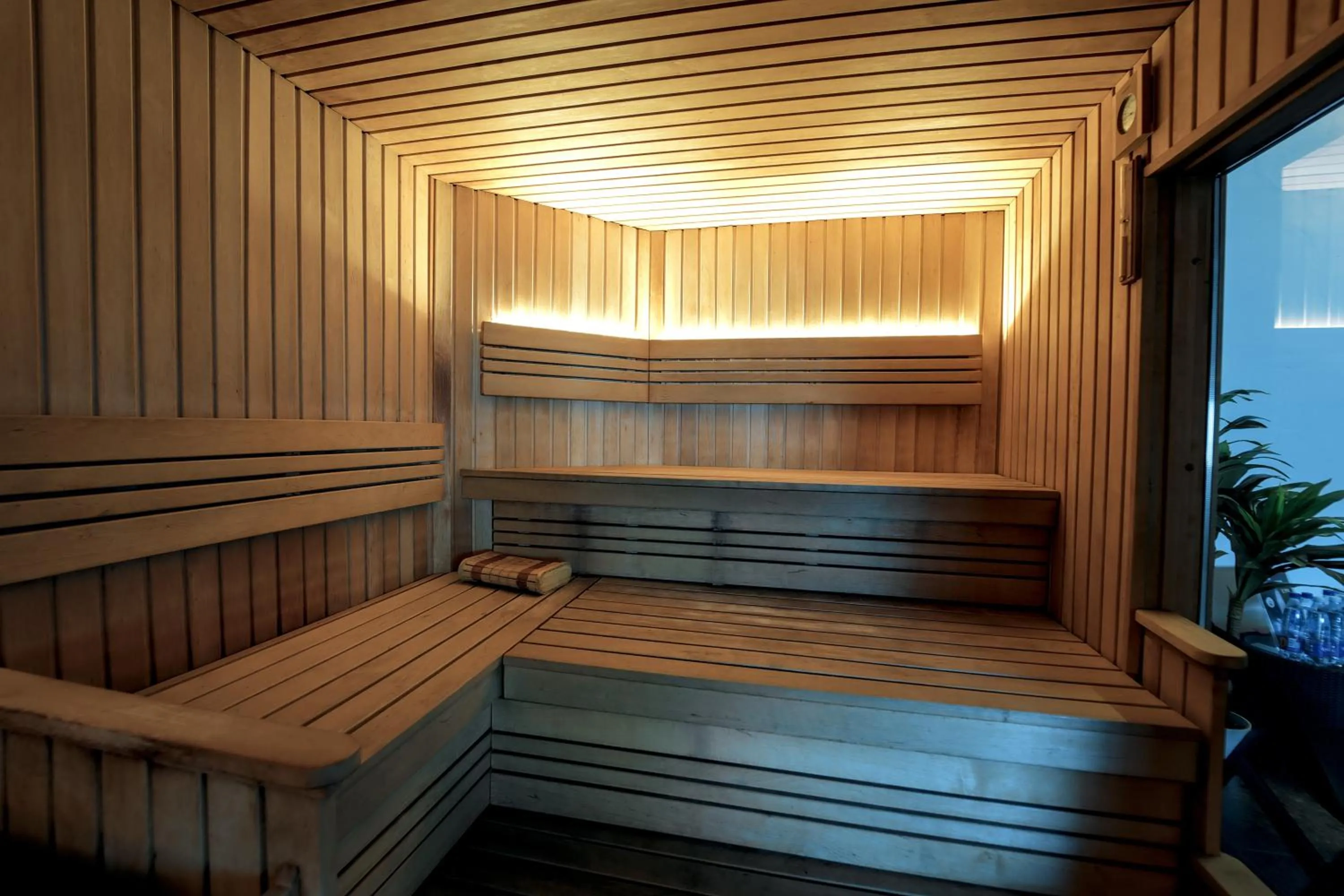 Sauna in Zaliakalnio terasos apartamentai