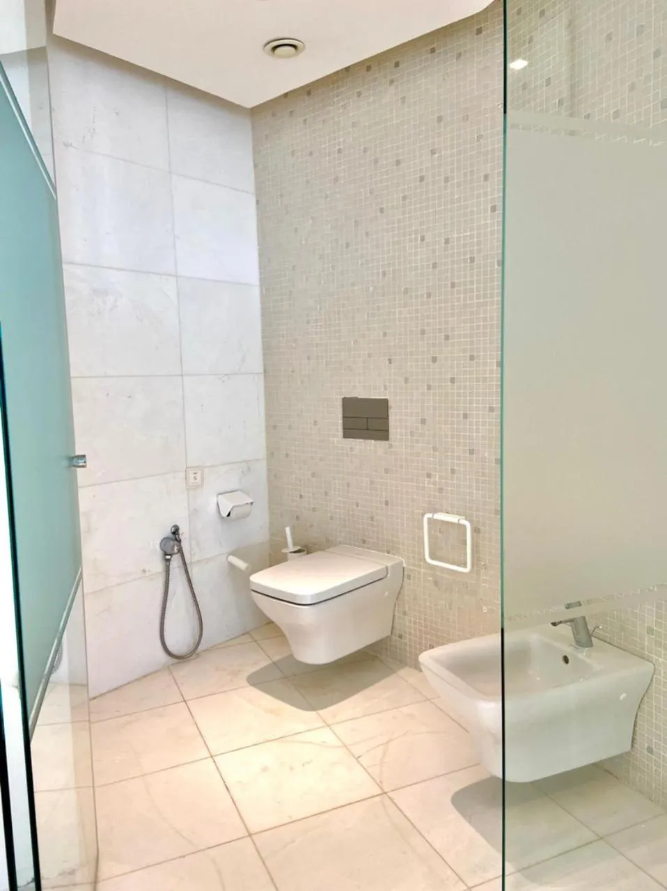 Toilet in La Tour Blanche