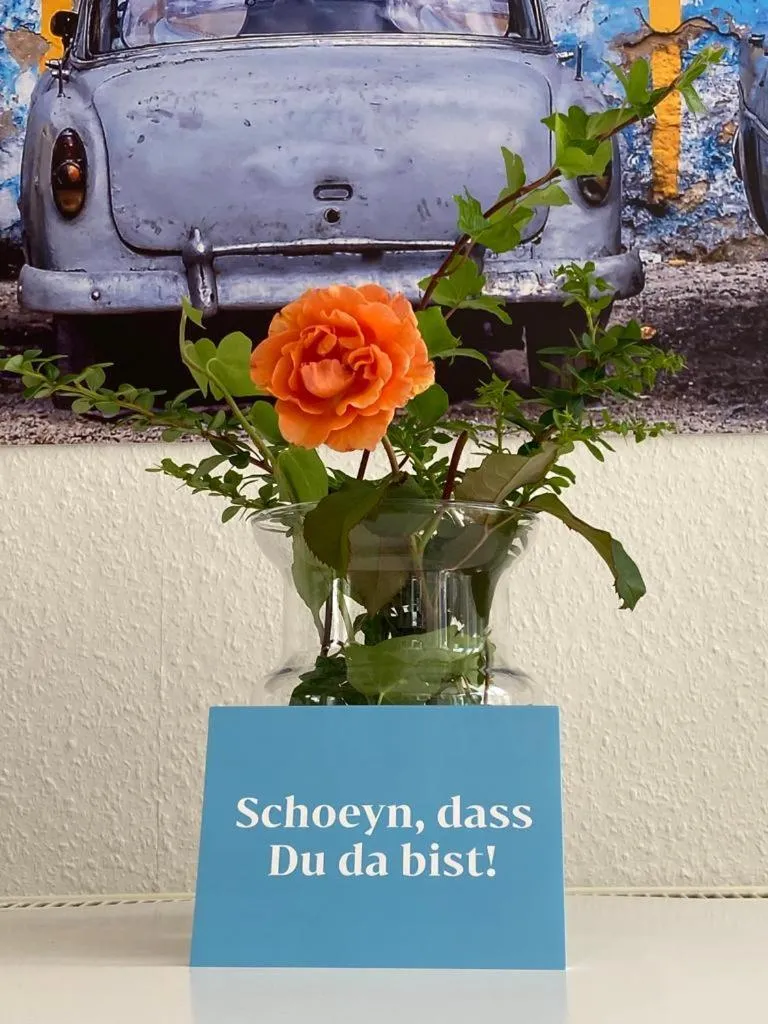 City Hotel ApartM3 am Park