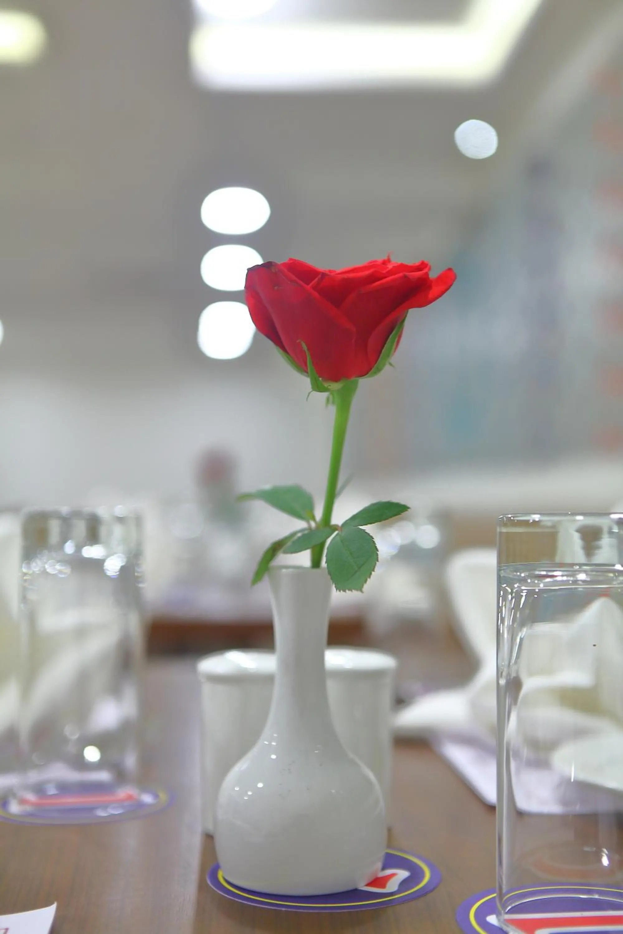 Restaurant/places to eat in Incredible One Hotel