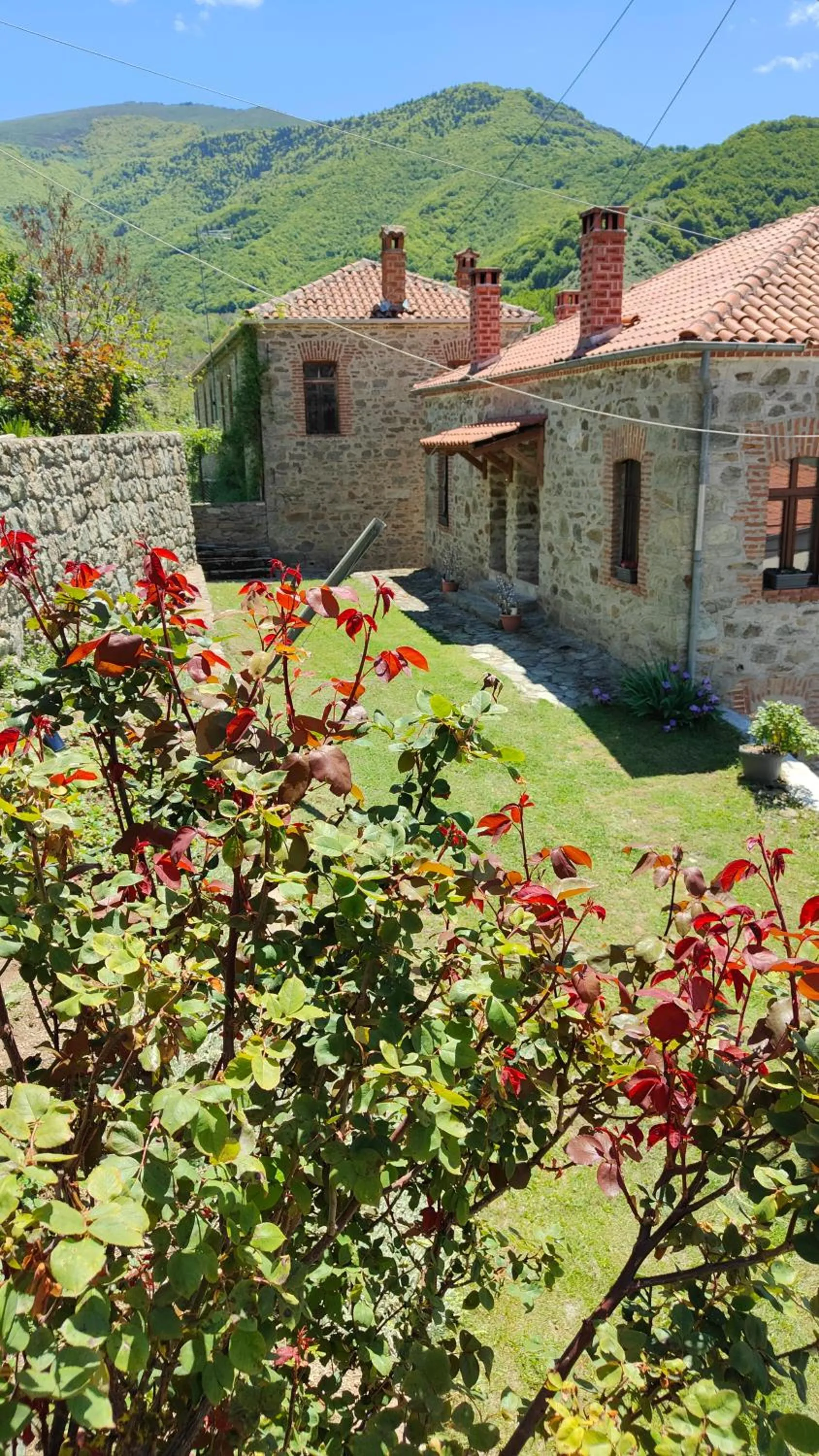 Garden view in Panorama Prespes