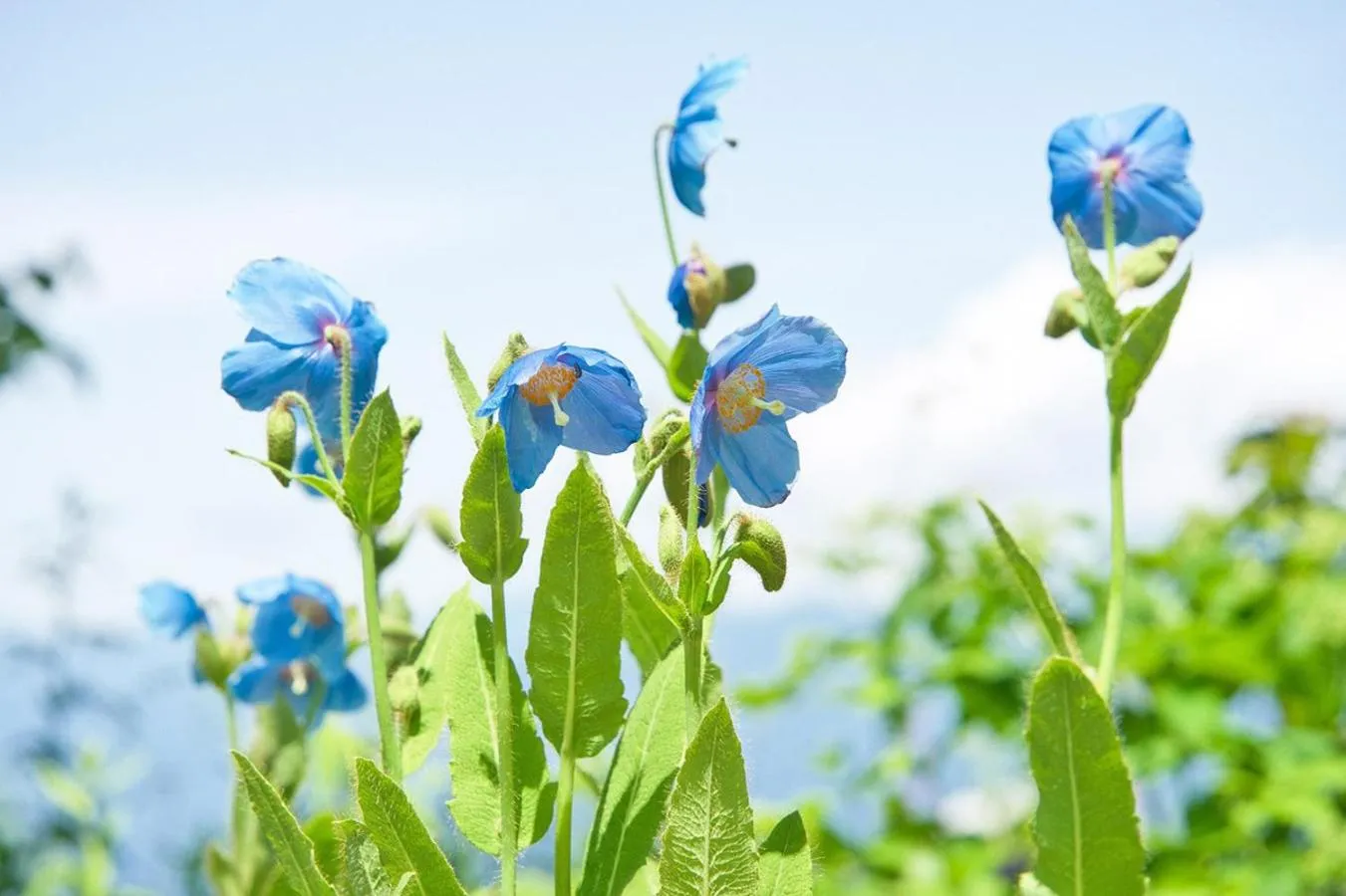 Nearby landmark in Pension Risuno Koya