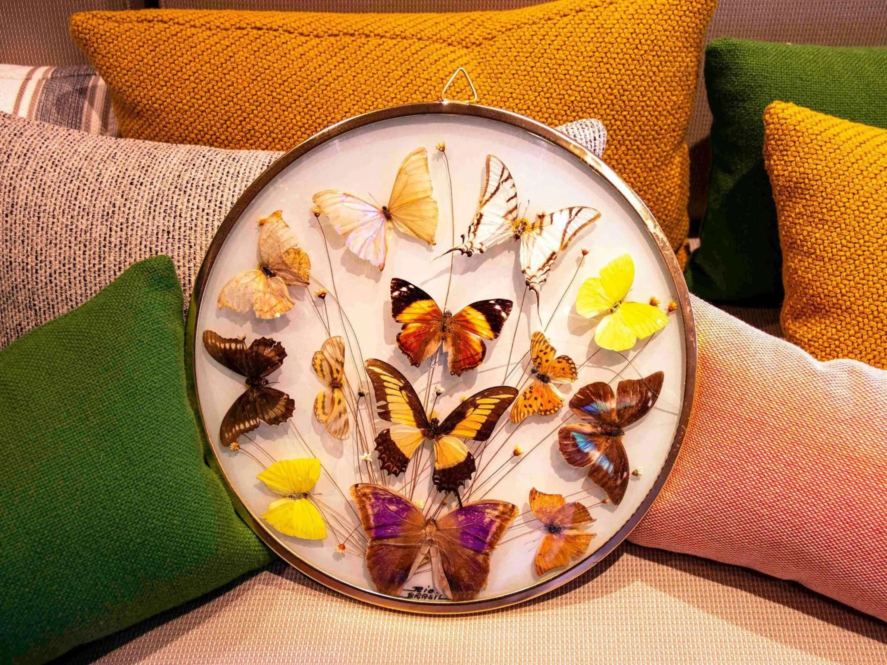 Restaurant/places to eat in Greet Hotel Colmar