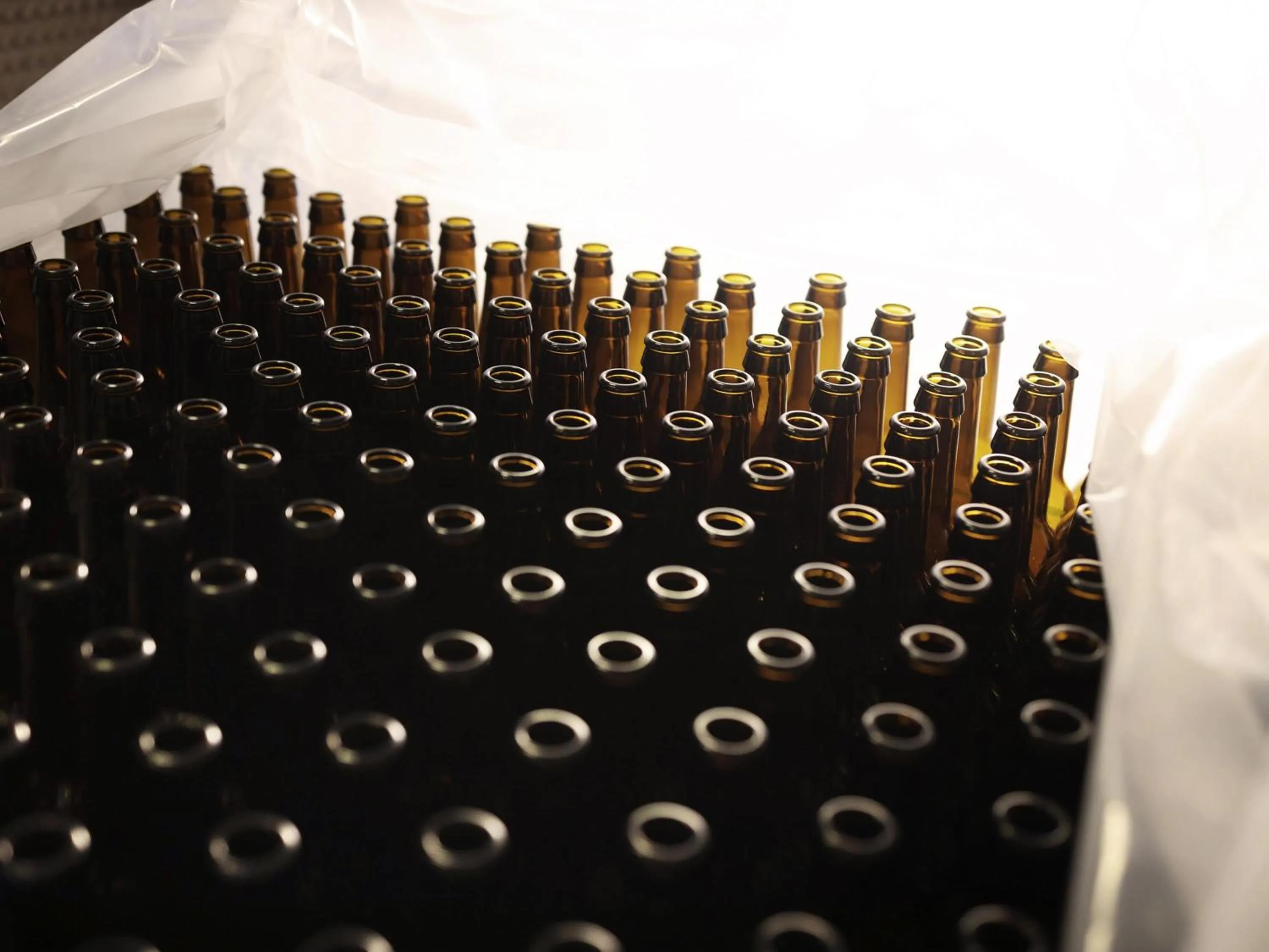 Lounge or bar in Greet Hotel Colmar