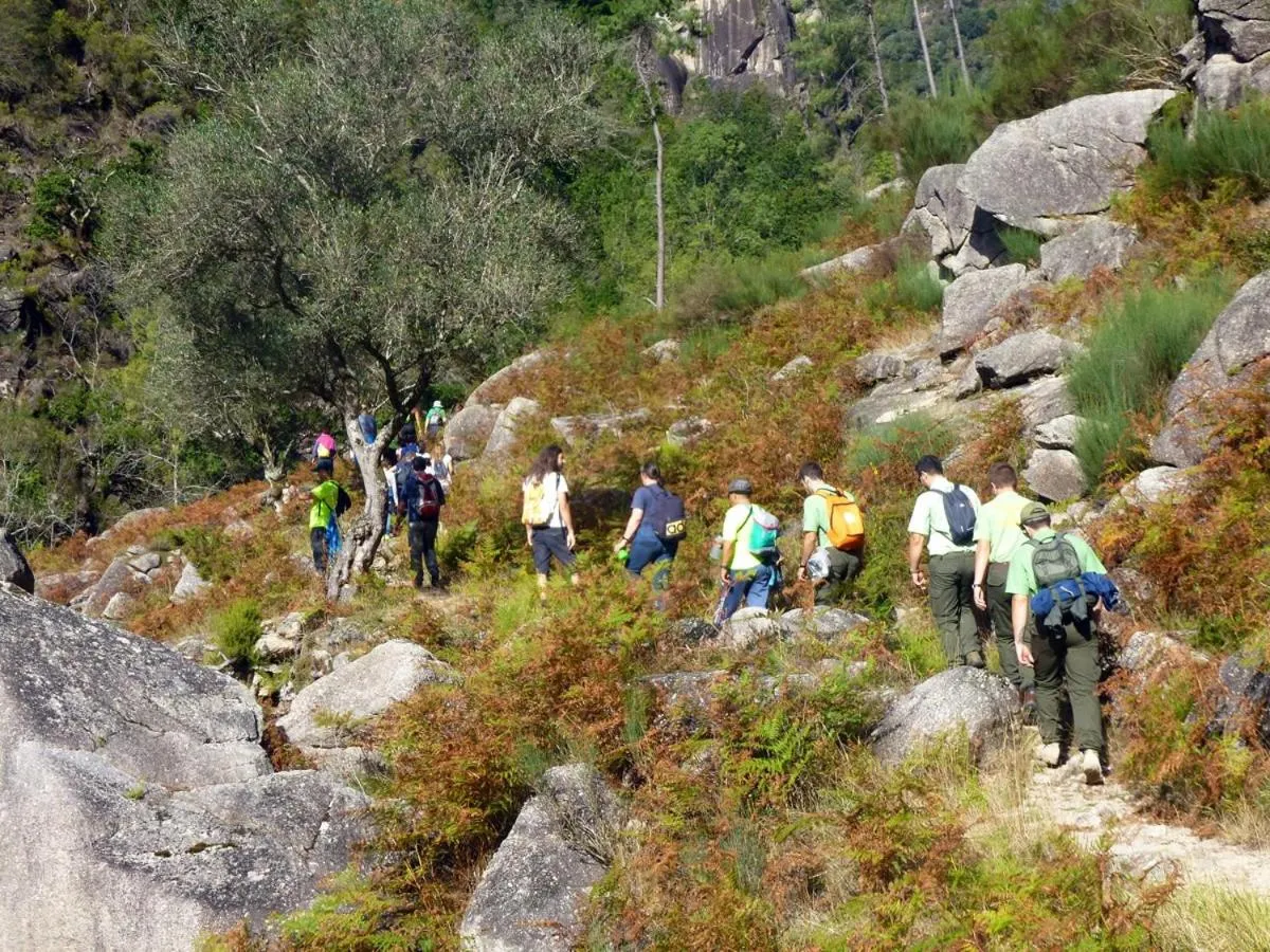 Activities in Hotel Peninsular