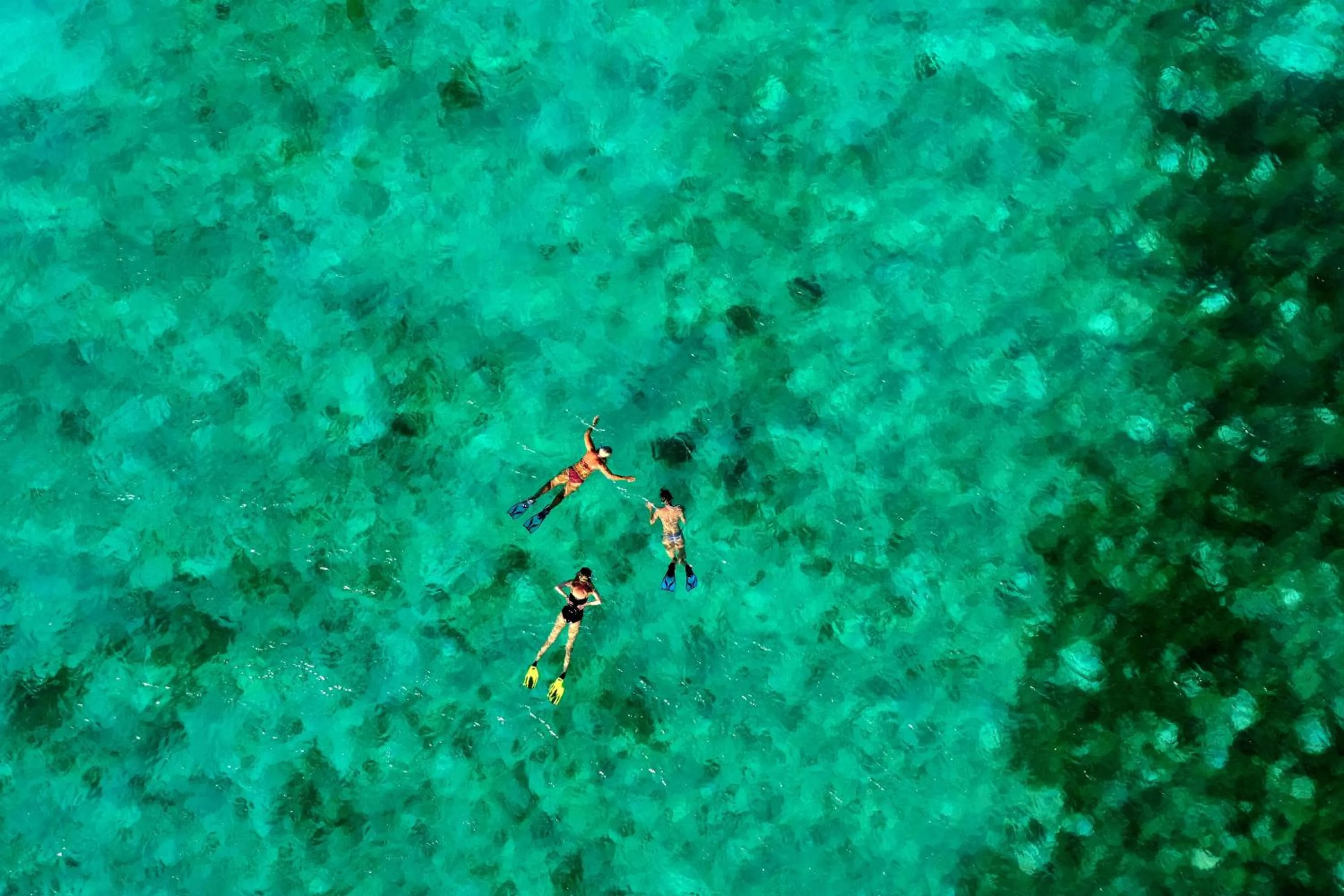 Snorkeling in Canouan Estate Resort & Villas