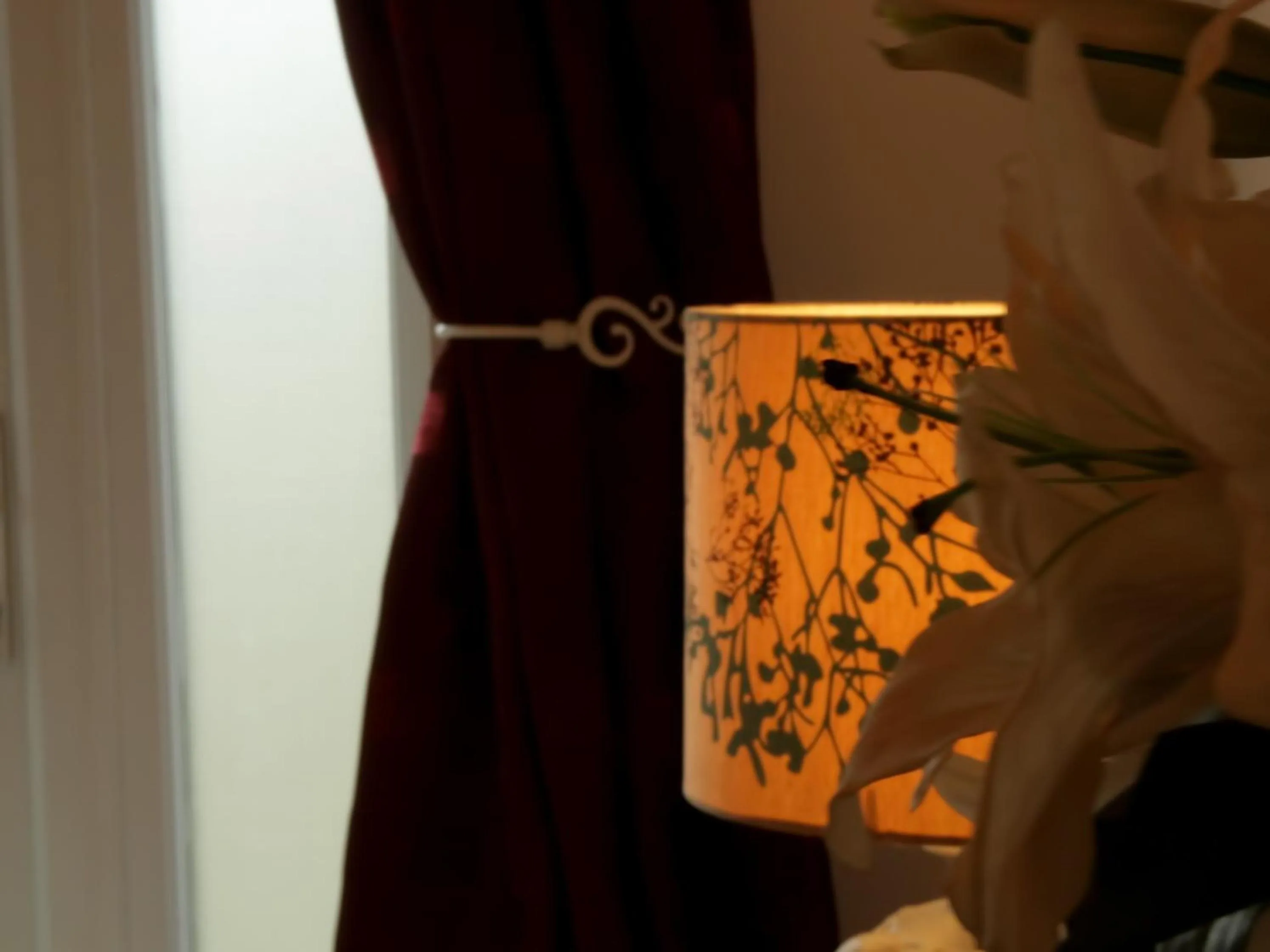 Other in Thorn House B&B