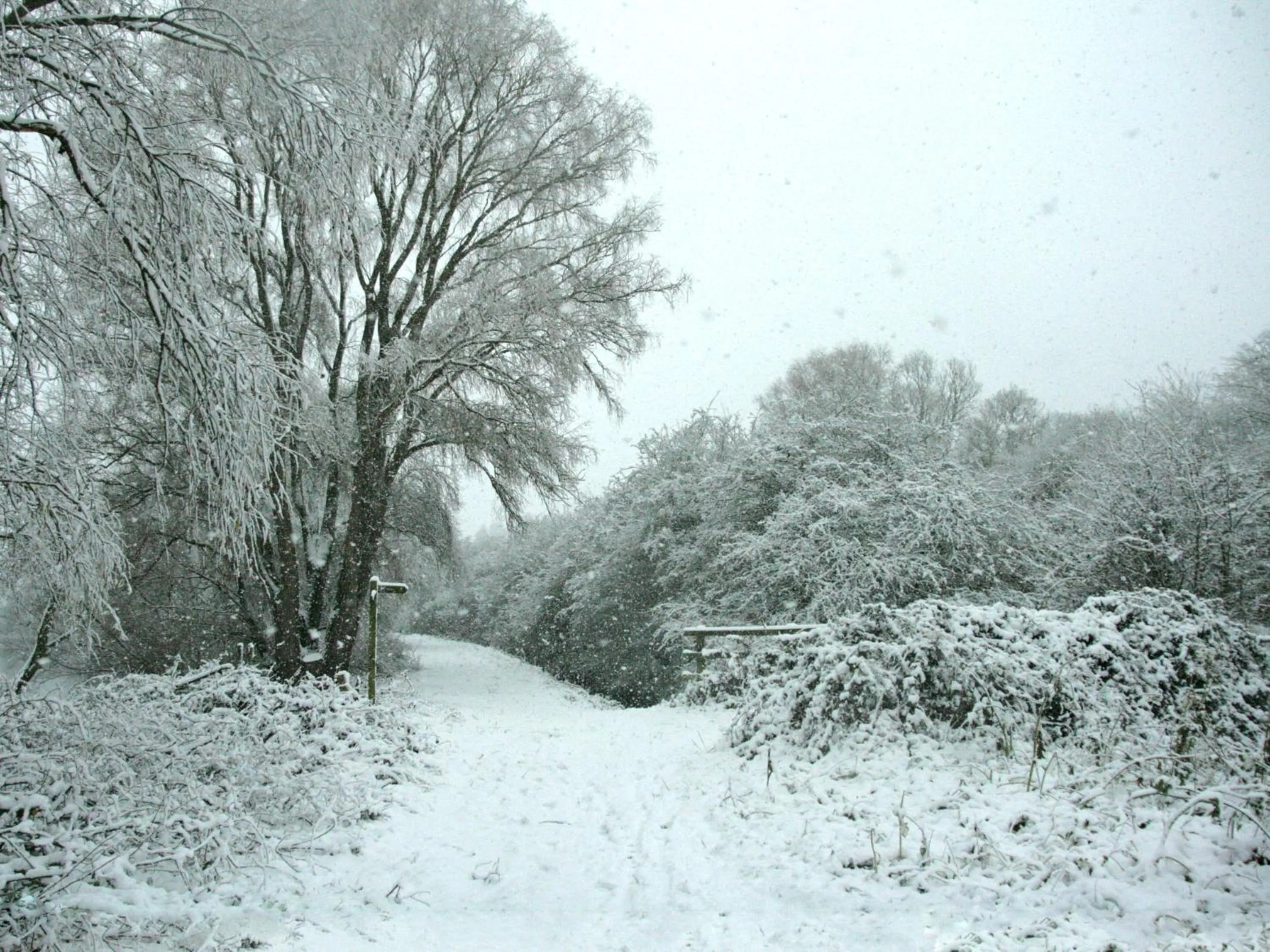 View (from property/room) in Thorn House B&B
