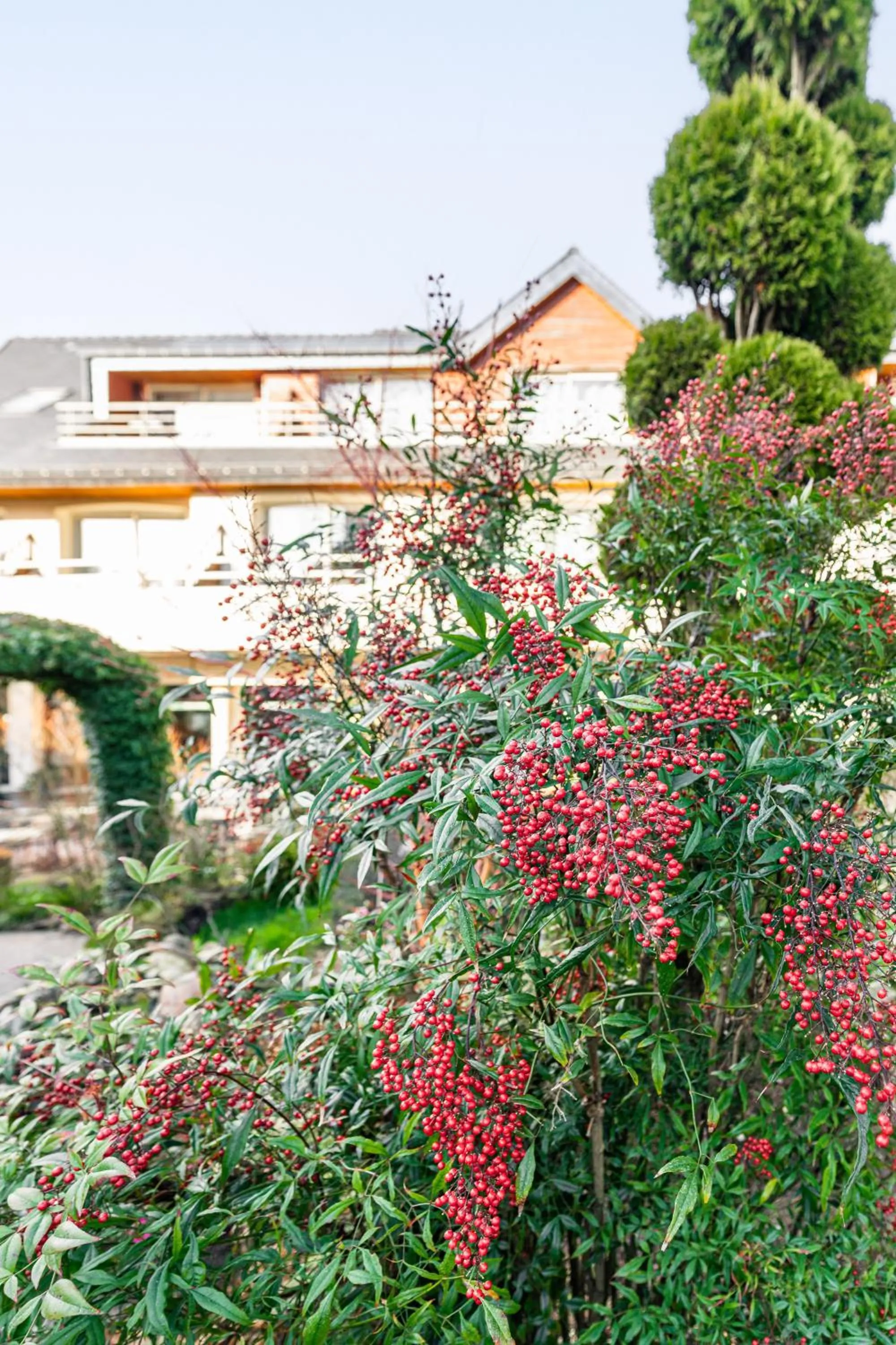 Garden in Logis L'Auberge - Maison Glenn Anna