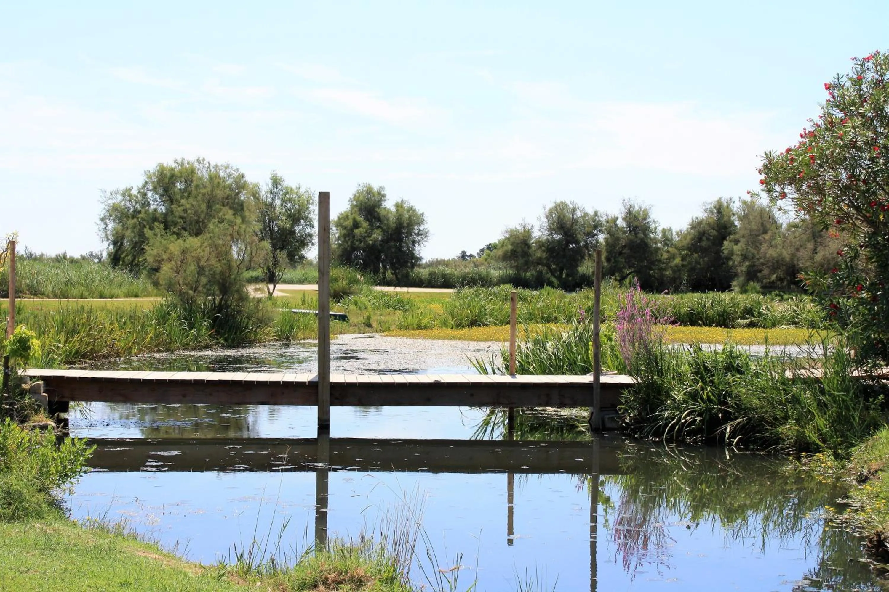 Natural landscape in Mas Fandelou