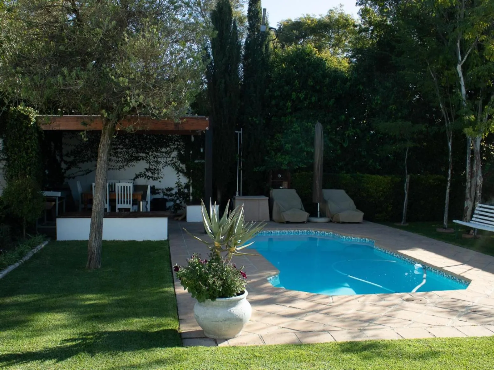 Swimming pool in Cummings Guesthouse