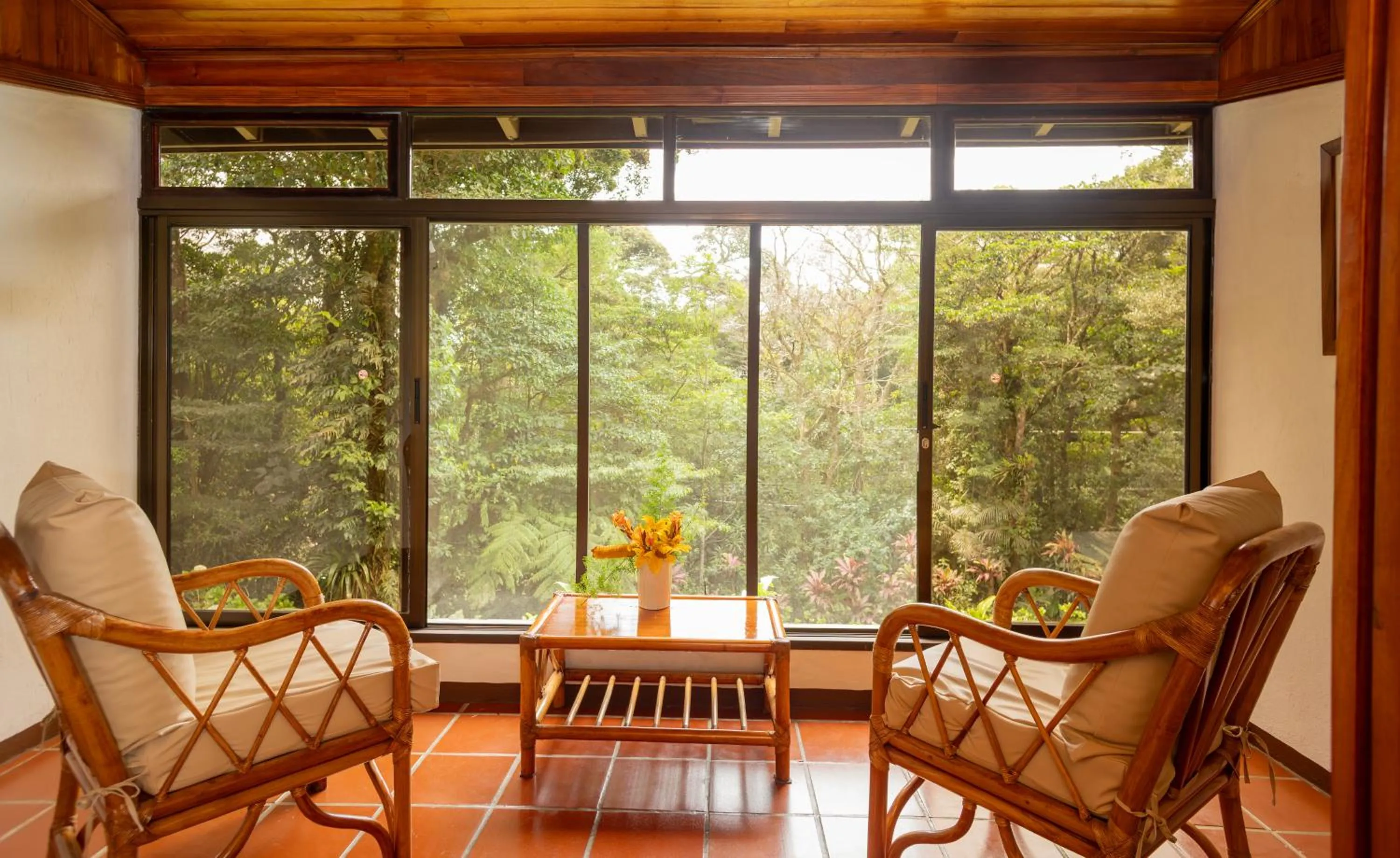 Natural landscape in Trapp Family Lodge Monteverde