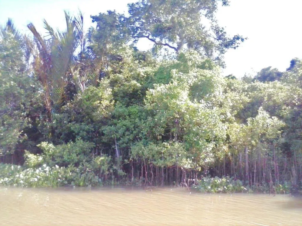 Seth Villa by Magampura Resorts