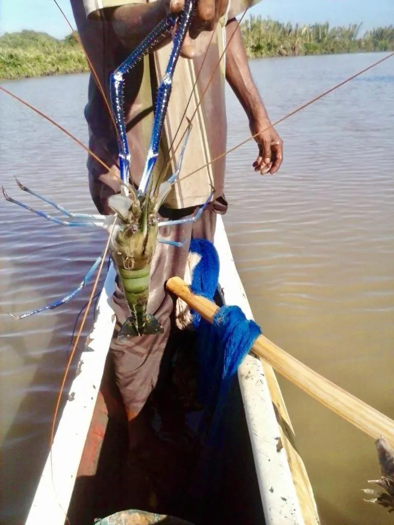 Seth Villa by Magampura Resorts