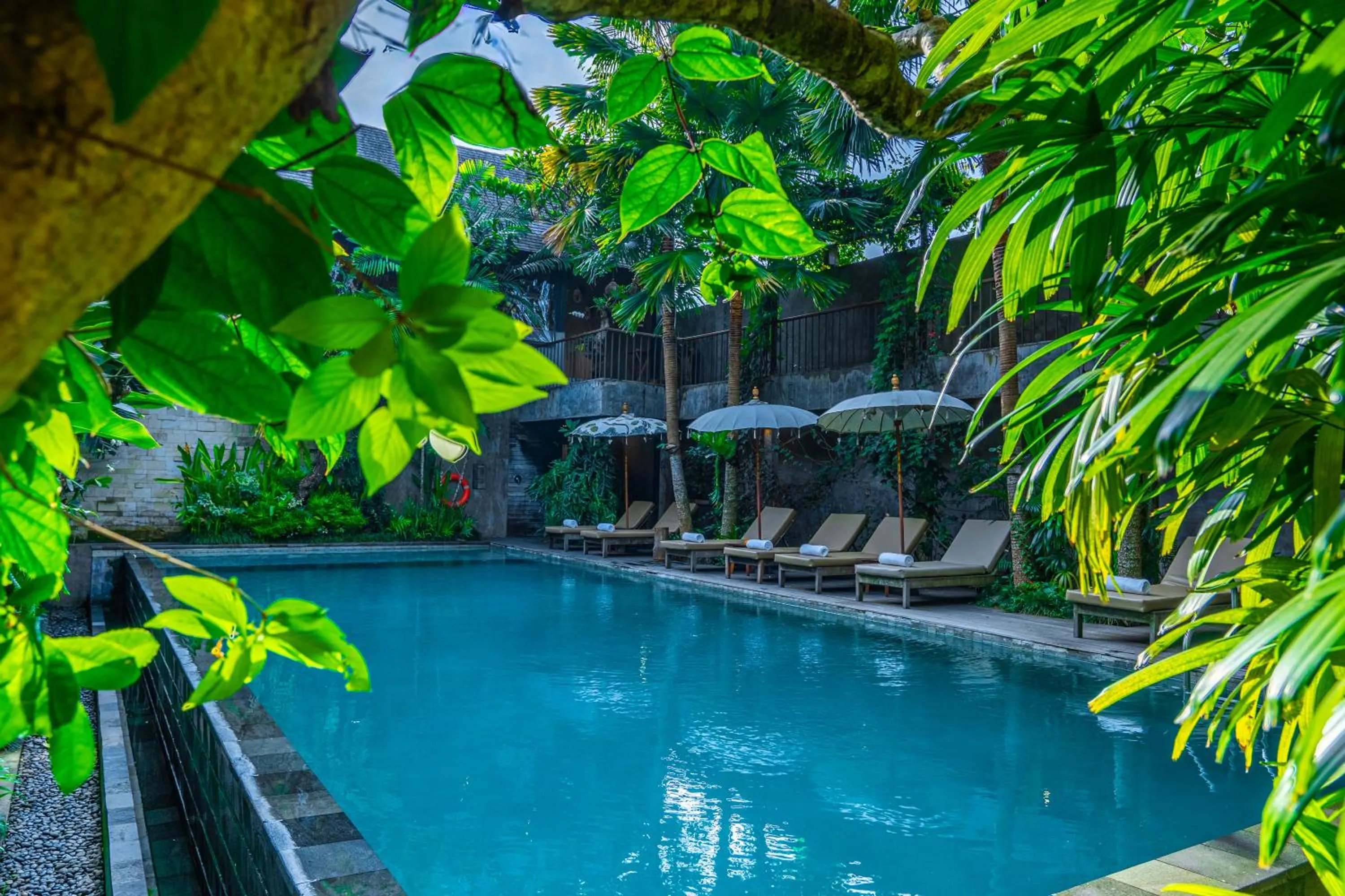 Swimming pool in Purana Suite Ubud