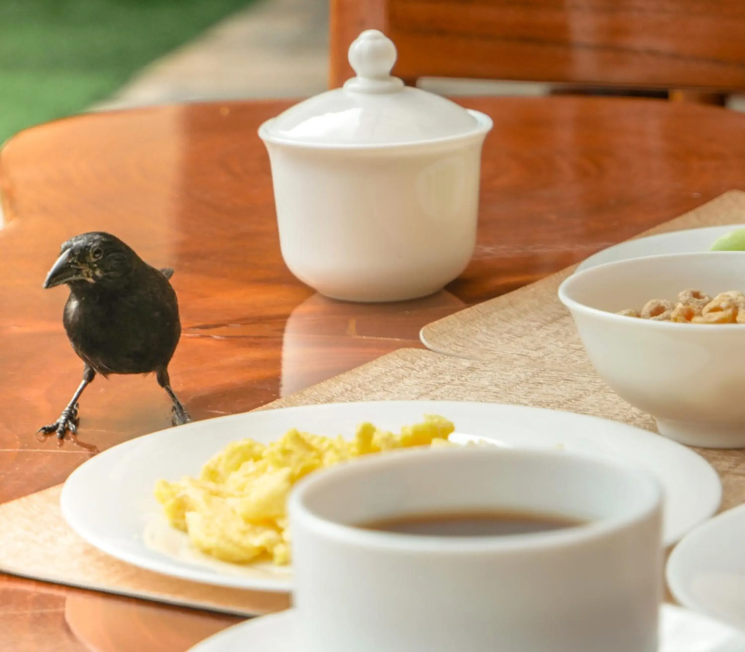 Breakfast in Hostal España Breakfast in Hostal España