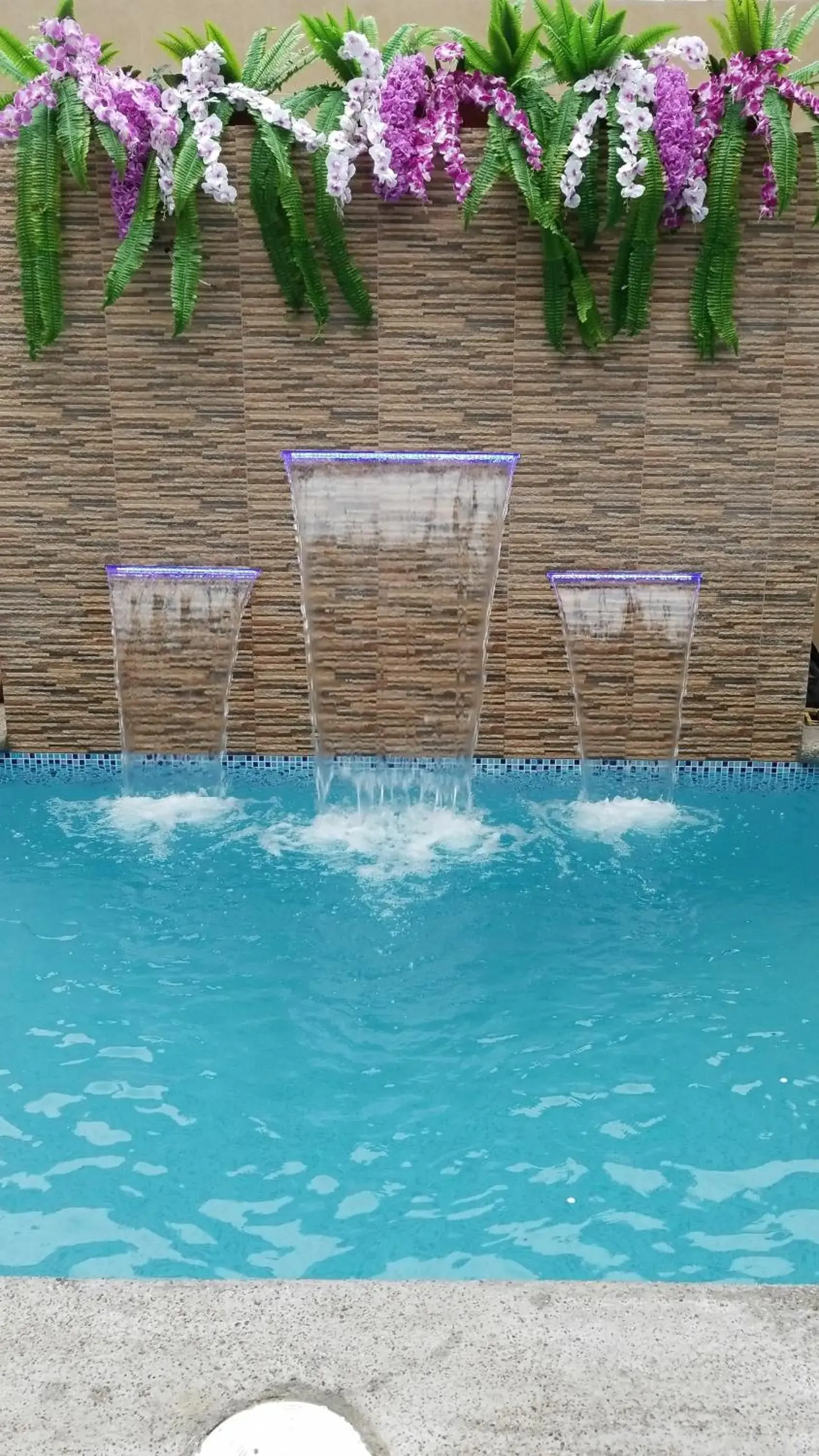 Swimming pool in Hostal España Swimming pool in Hostal España