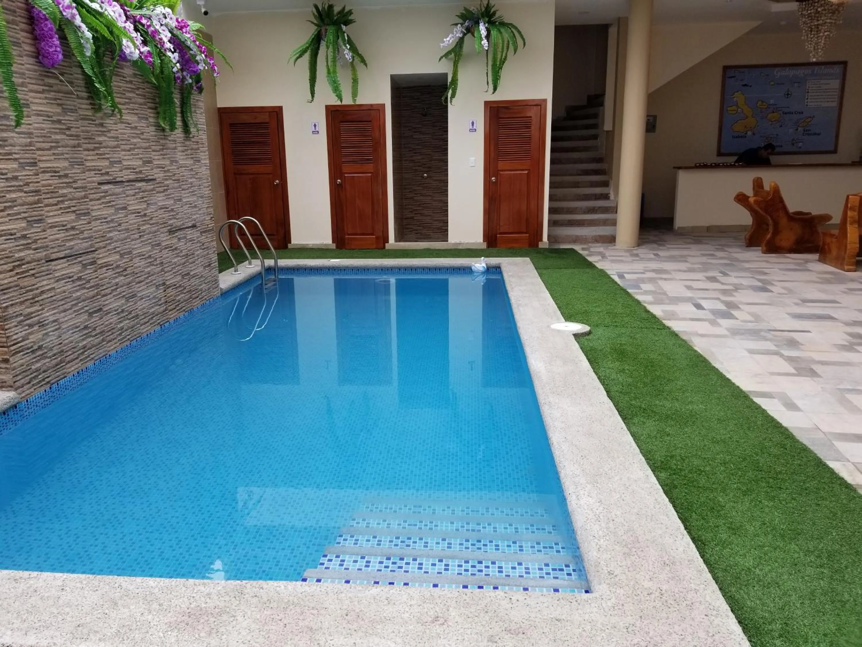 Swimming pool in Hostal España