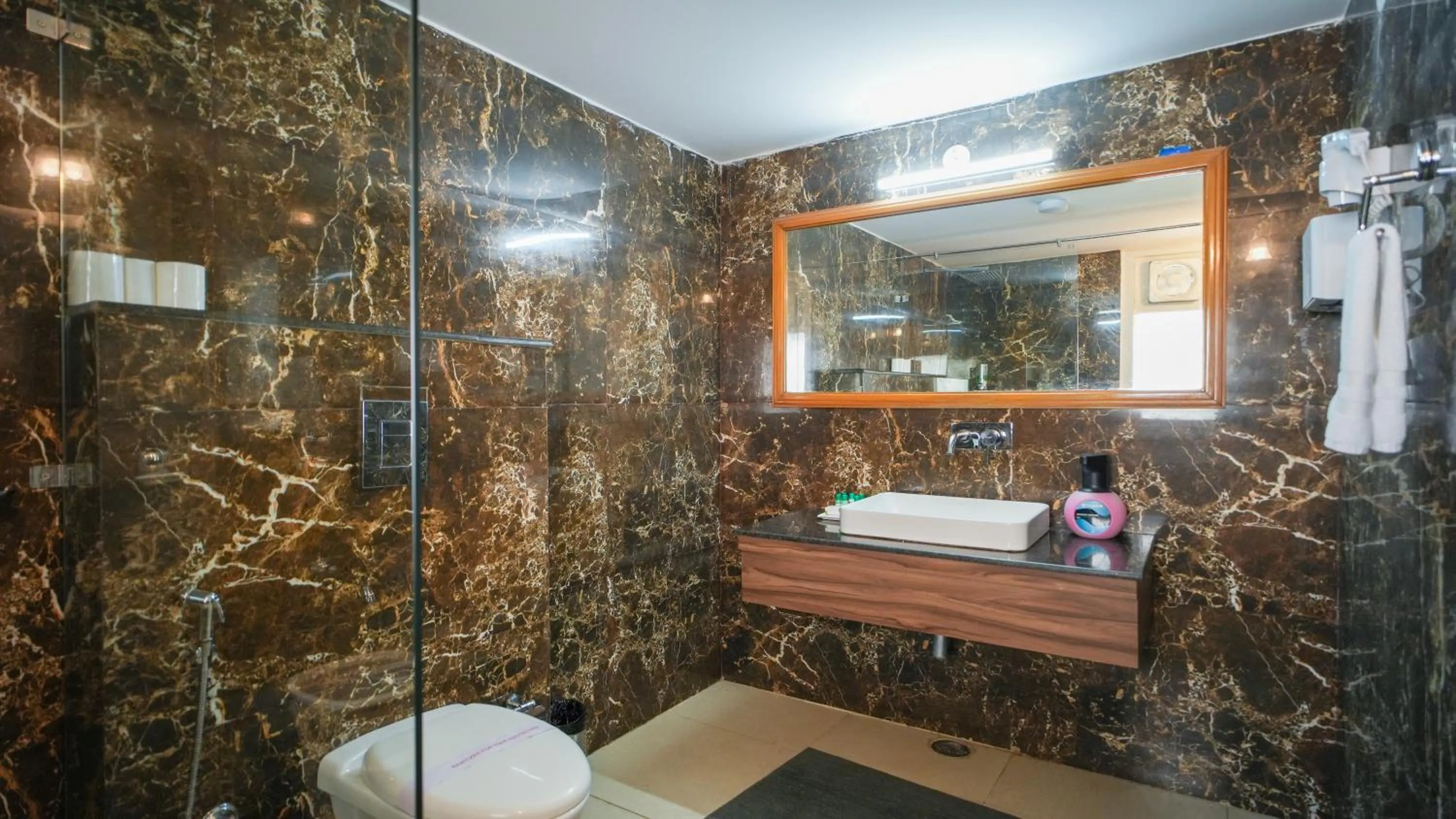 Toilet in Neelesh Inn- A Luxury Lake View Hotel- 20 kms from Nainital