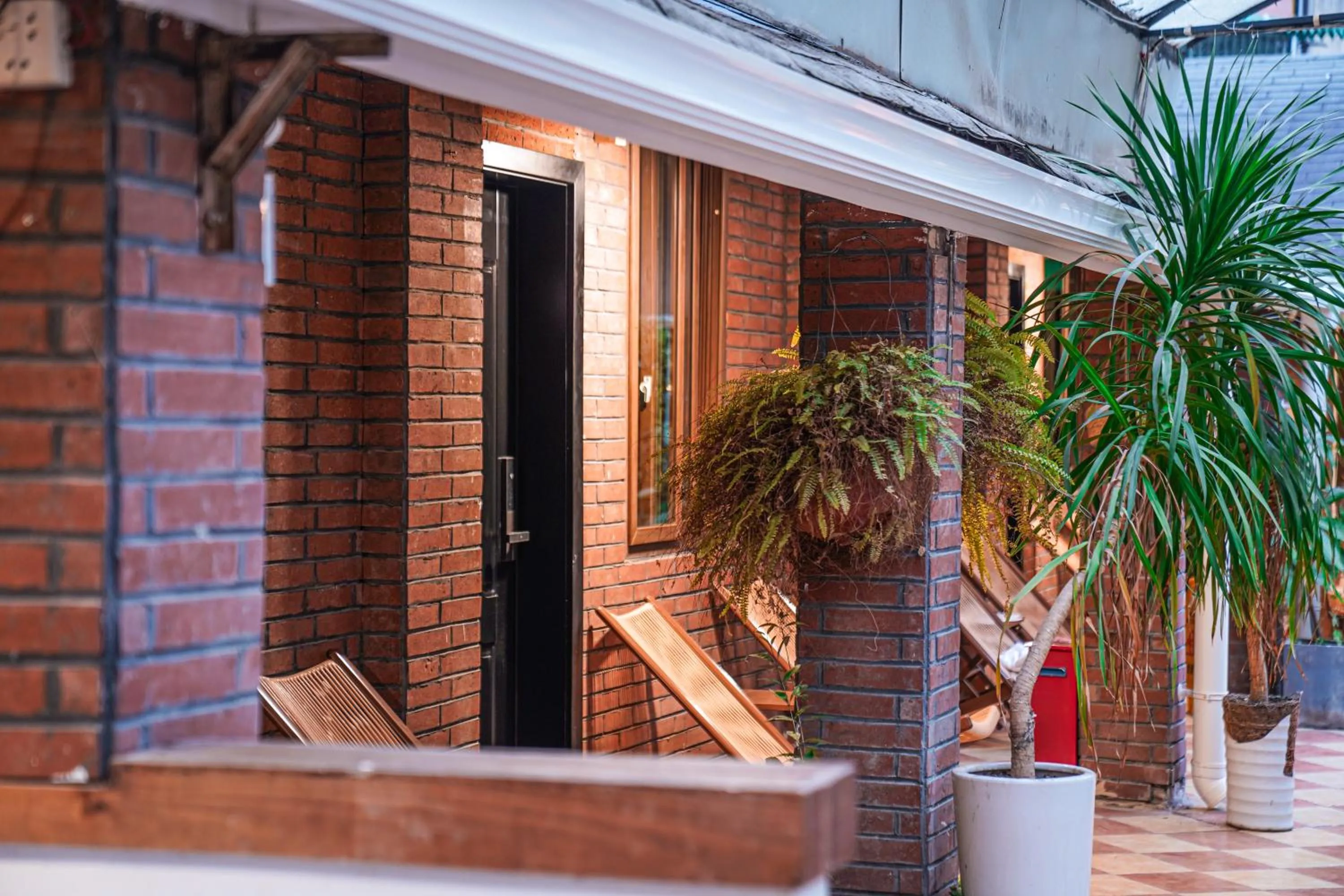 Patio in POSHPACKER - Chengdu Mix Hostel - Cicada Zen Yard