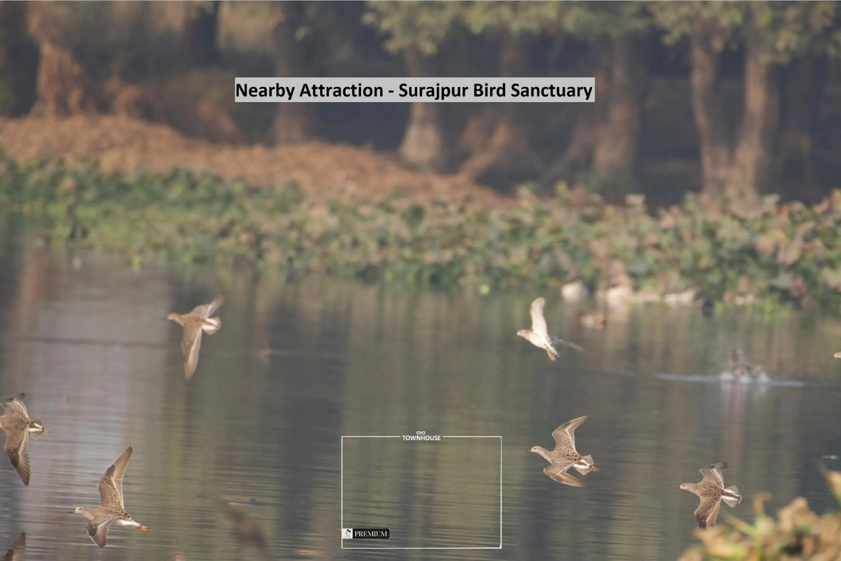 Other in Townhouse D- Knowledge Park III