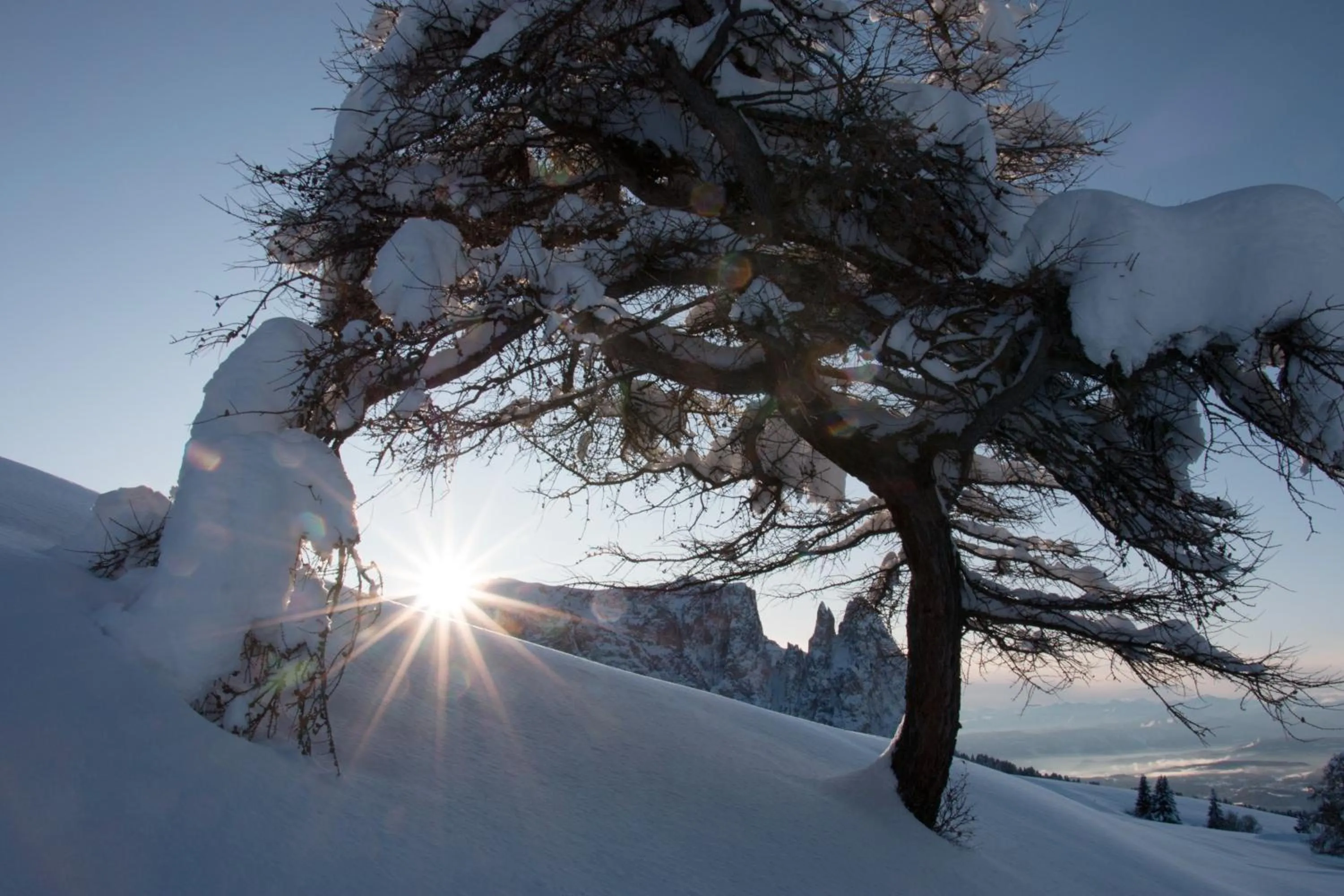 Nearby landmark in Schwarzer Adler