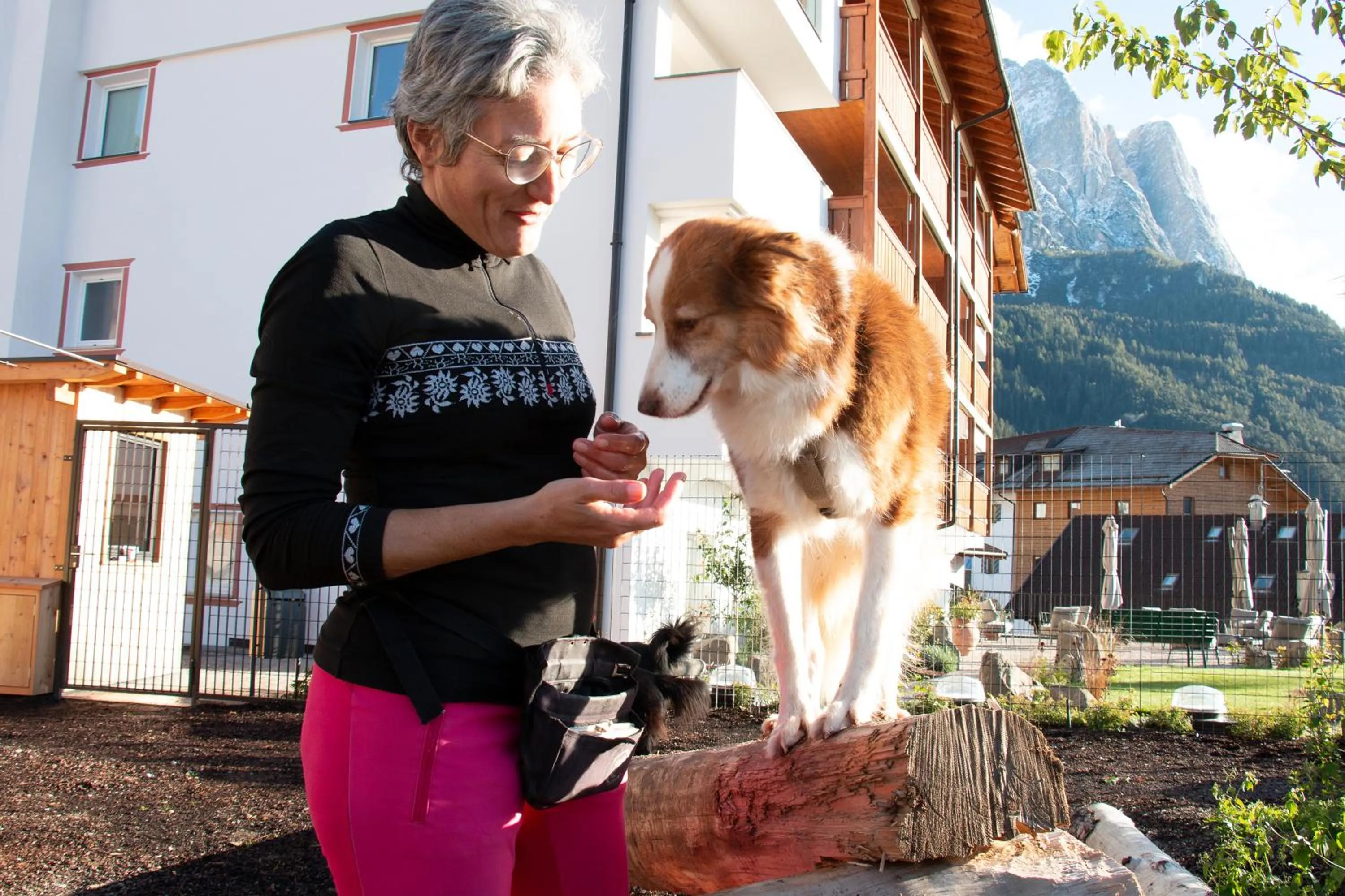 Property building in Schwarzer Adler