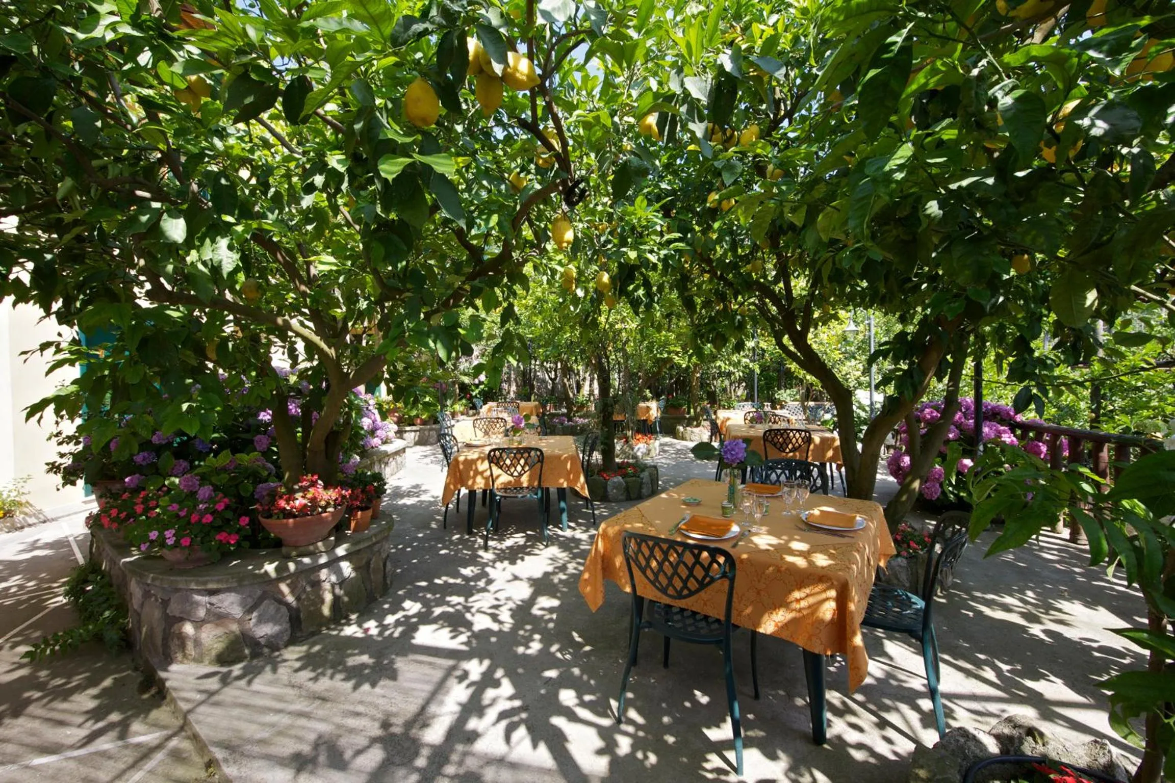 Restaurant/places to eat in Agriturismo La Lobra