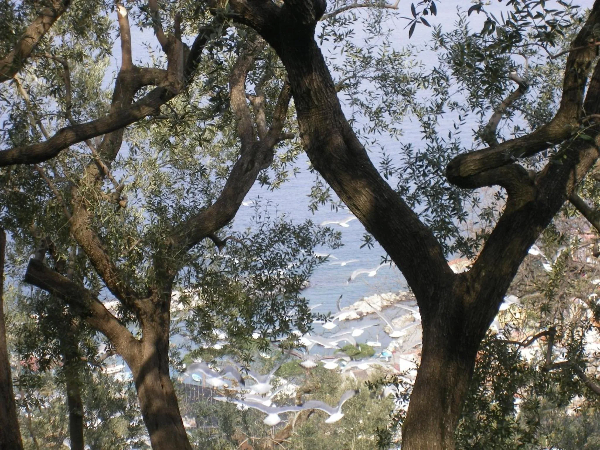 Day in Agriturismo La Lobra