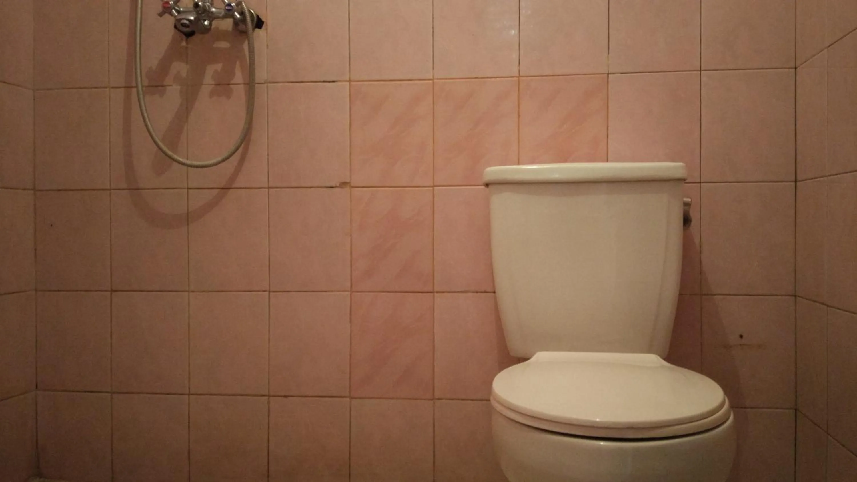 Toilet in Puri Bebengan Bungalows