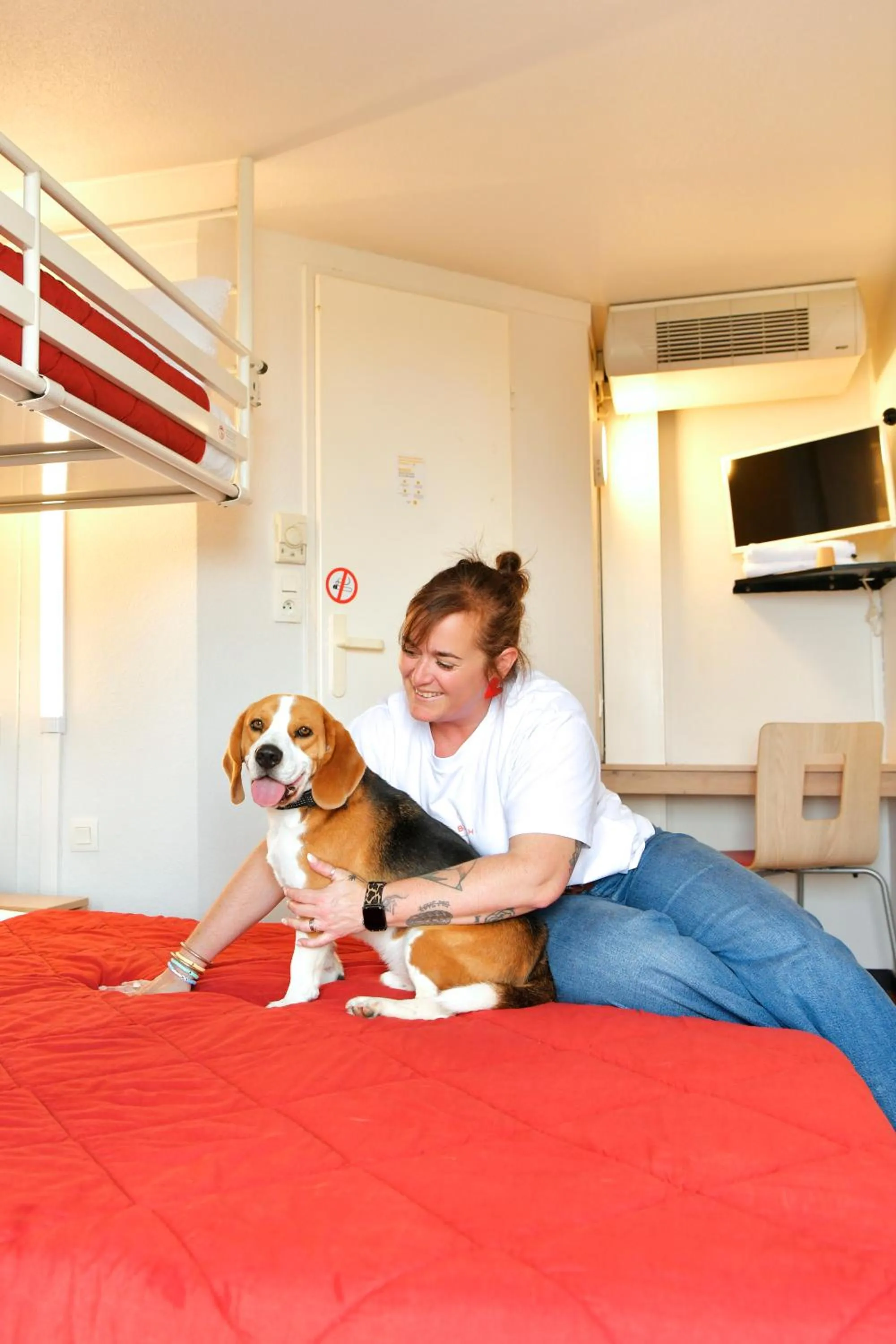Pets, Bed in Premiere Classe Saint Nazaire - Trignac