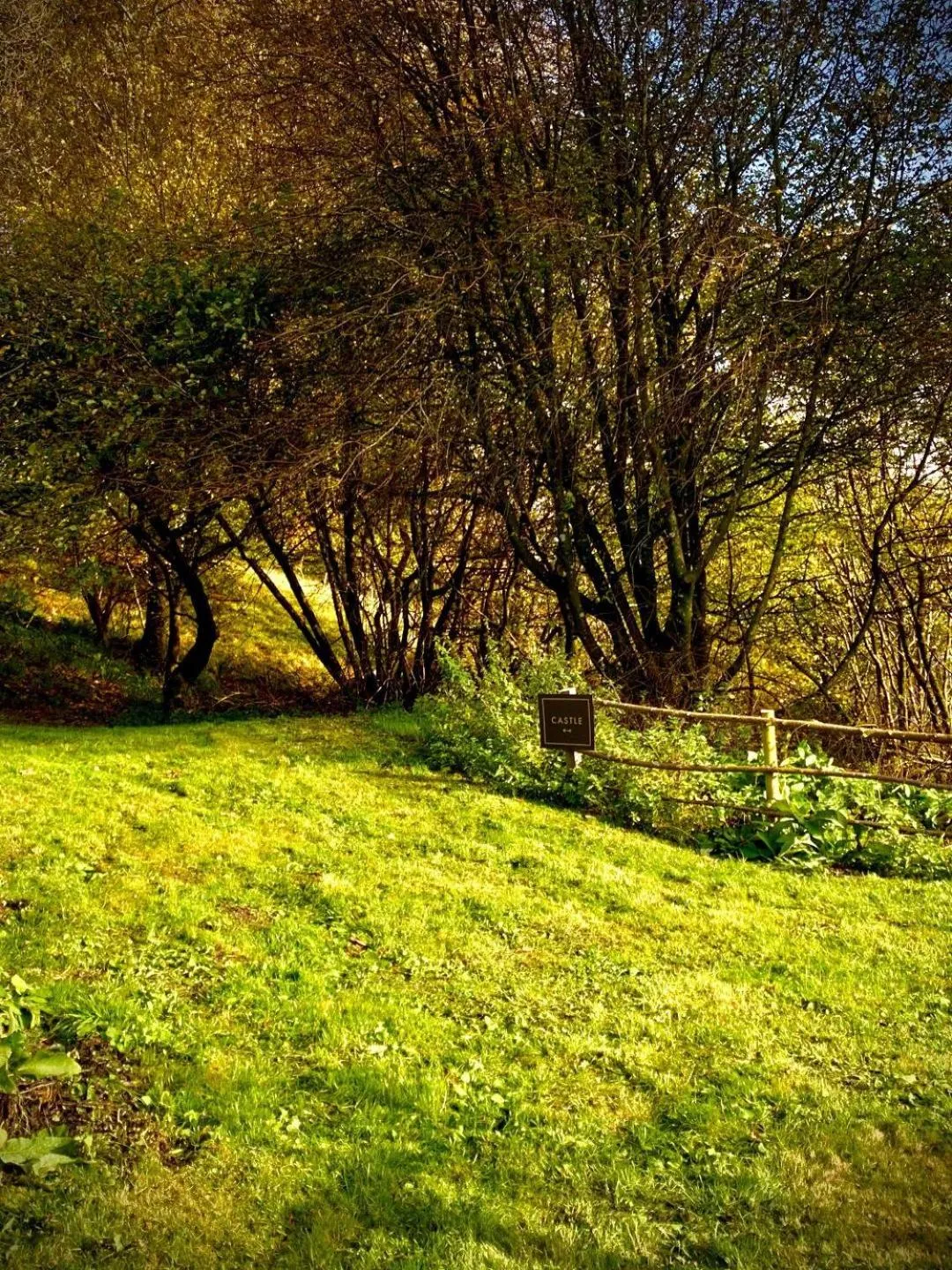 Branxholme Castle (Bed & Breakfast)