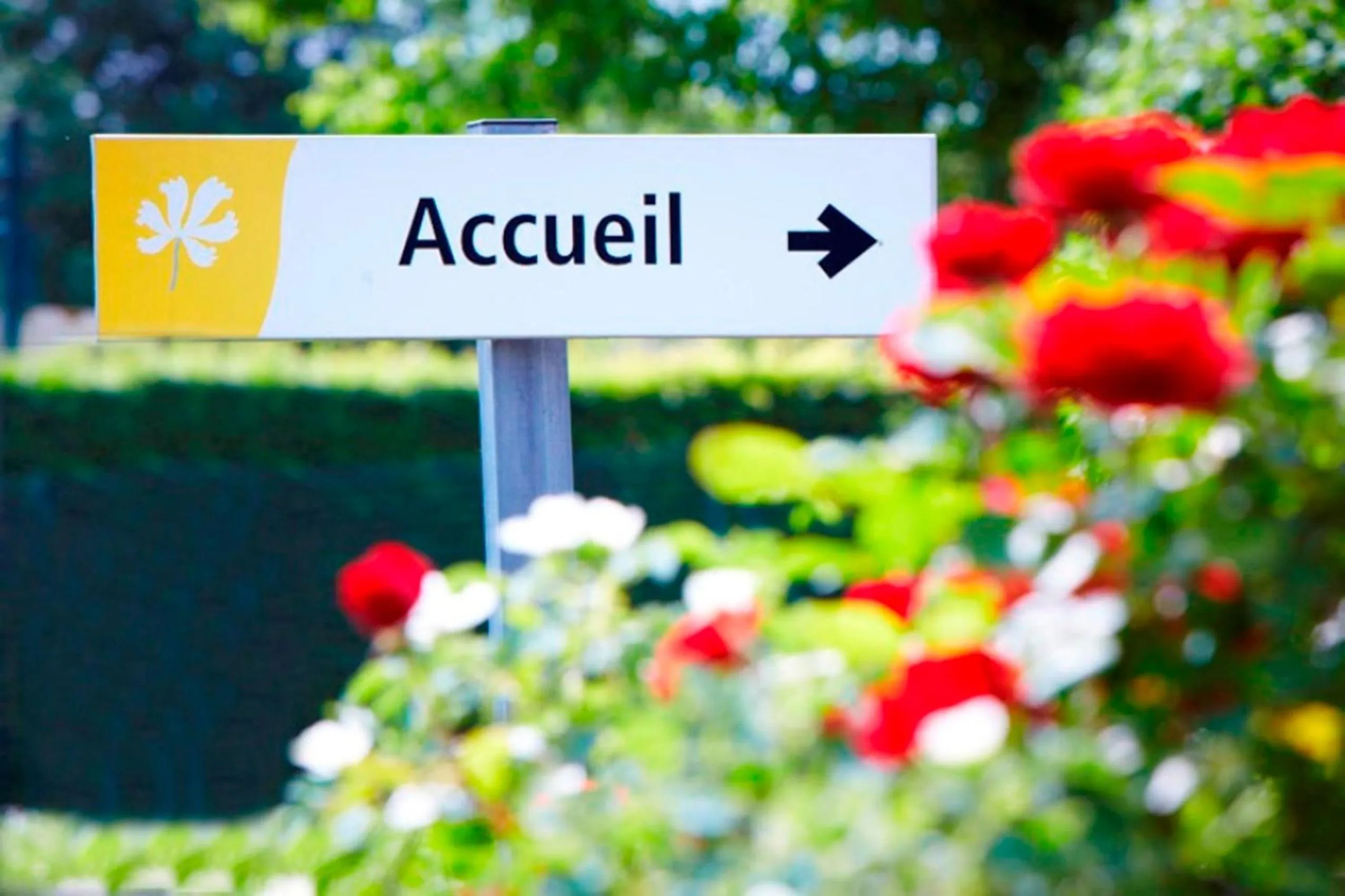 Other in Premiere Classe Laon