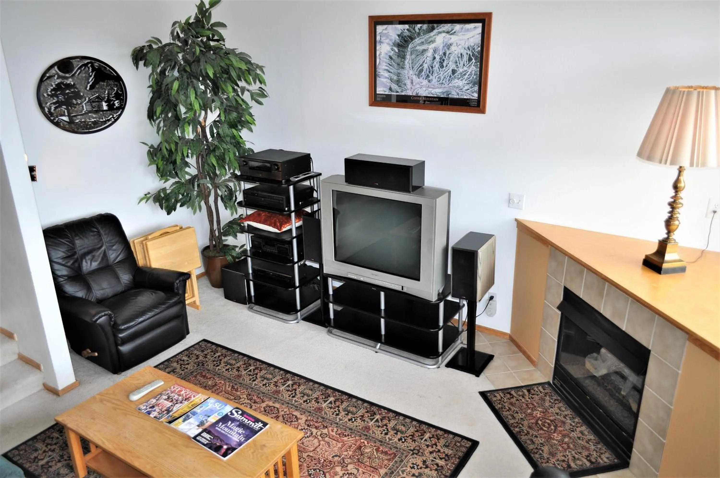 Forest Park 3 bed 4 Bath Twnhm HTJM