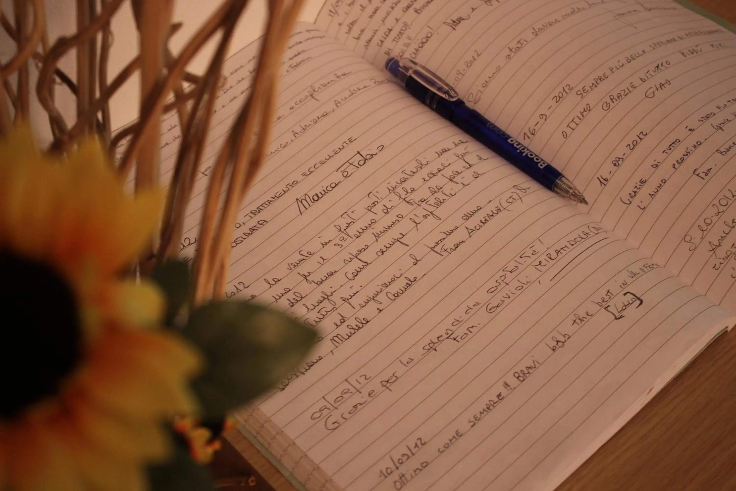 Living room in B&B Casa Vanzetta