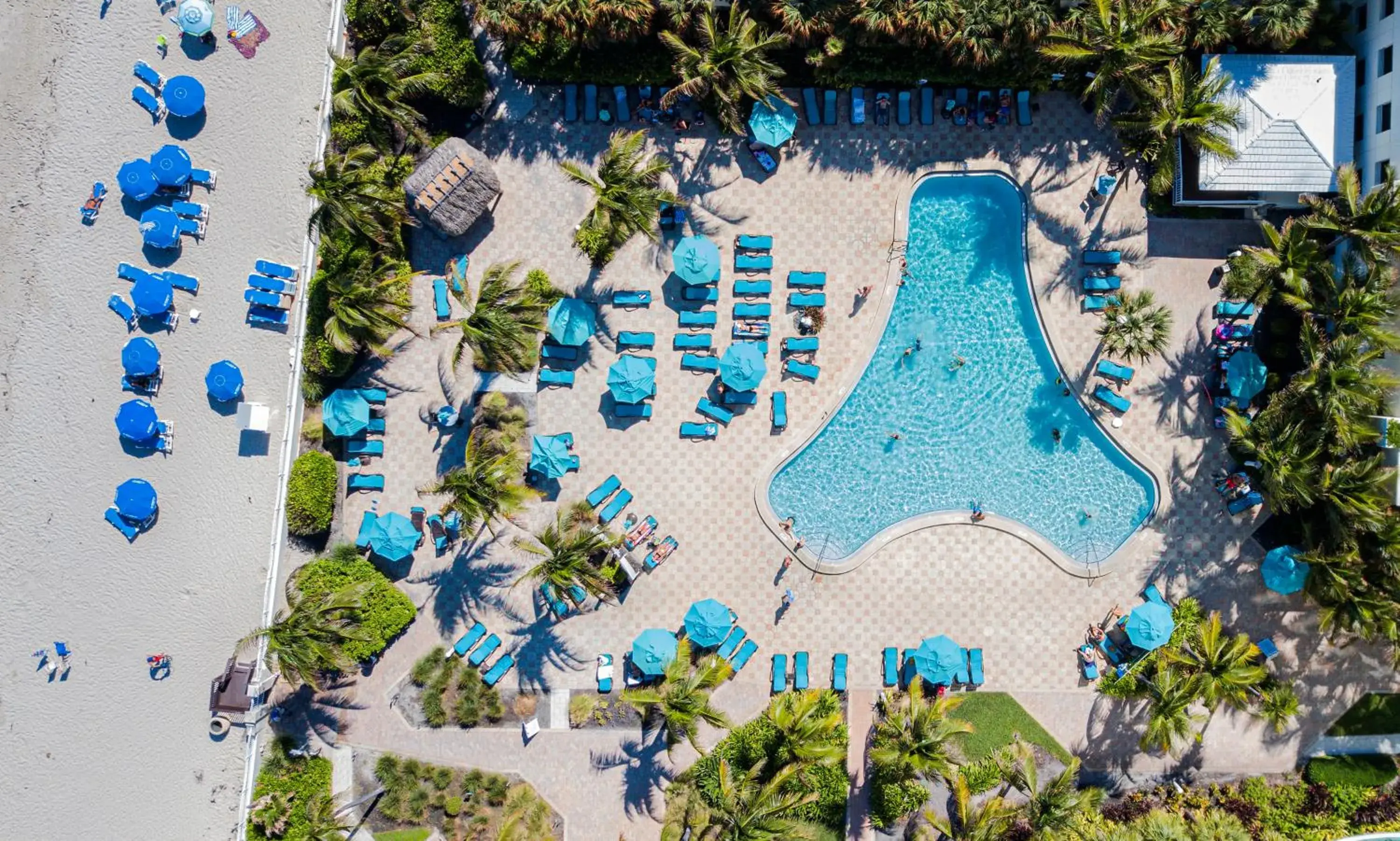 Bird's eye view in The Tides Apartments on the beach Bird's eye view in The Tides Apartments on the beach