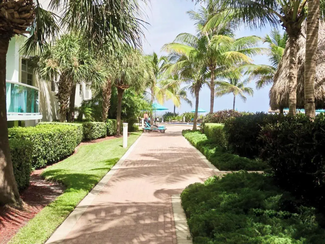 Garden in The Tides Apartments on the beach Garden in The Tides Apartments on the beach
